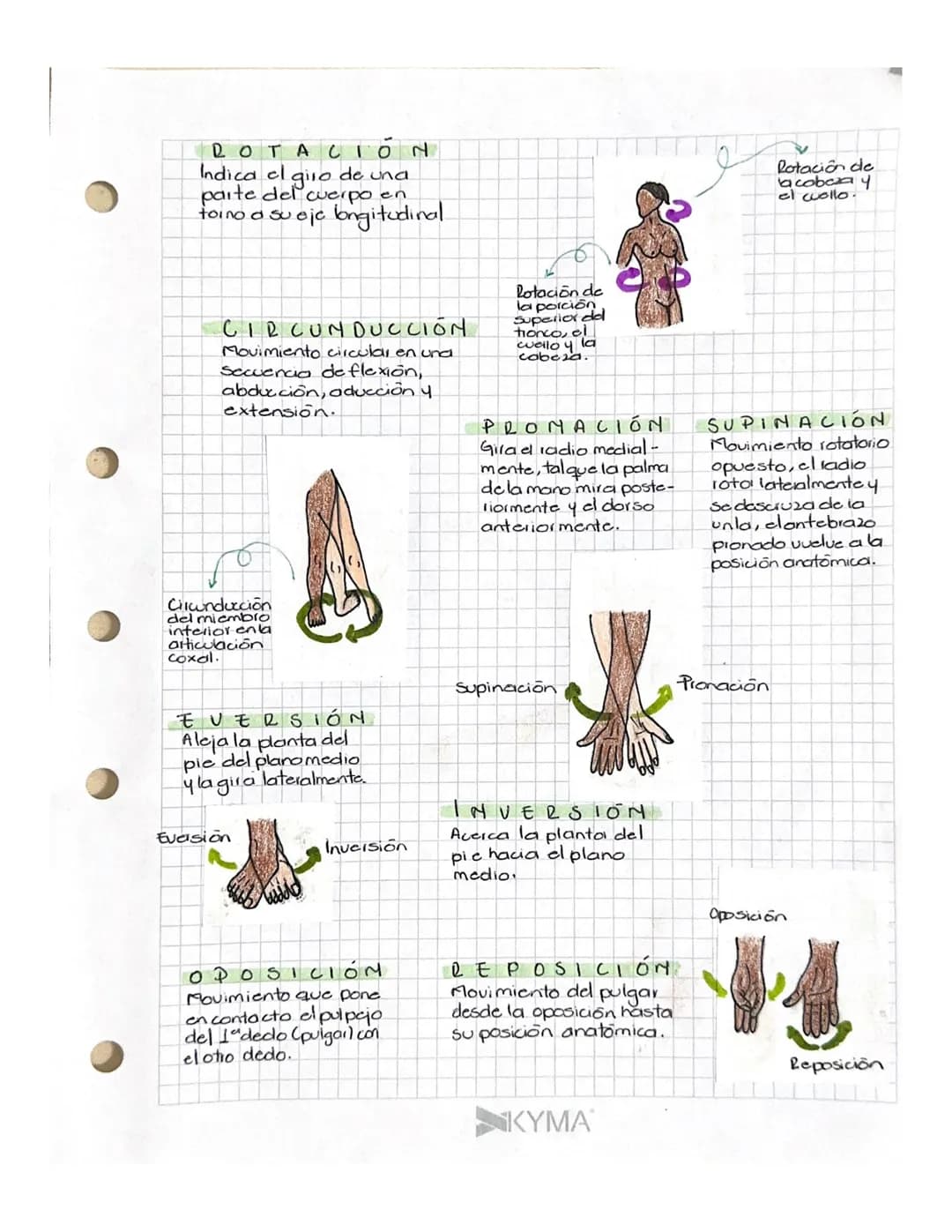 # Términos
EXTENCIÓN
Enderezamiento o aumento del
angulb entre los huesos o partes.
del cuerpo.
DE MOVIMIENTOS
¡Dato!
Diversos términos d