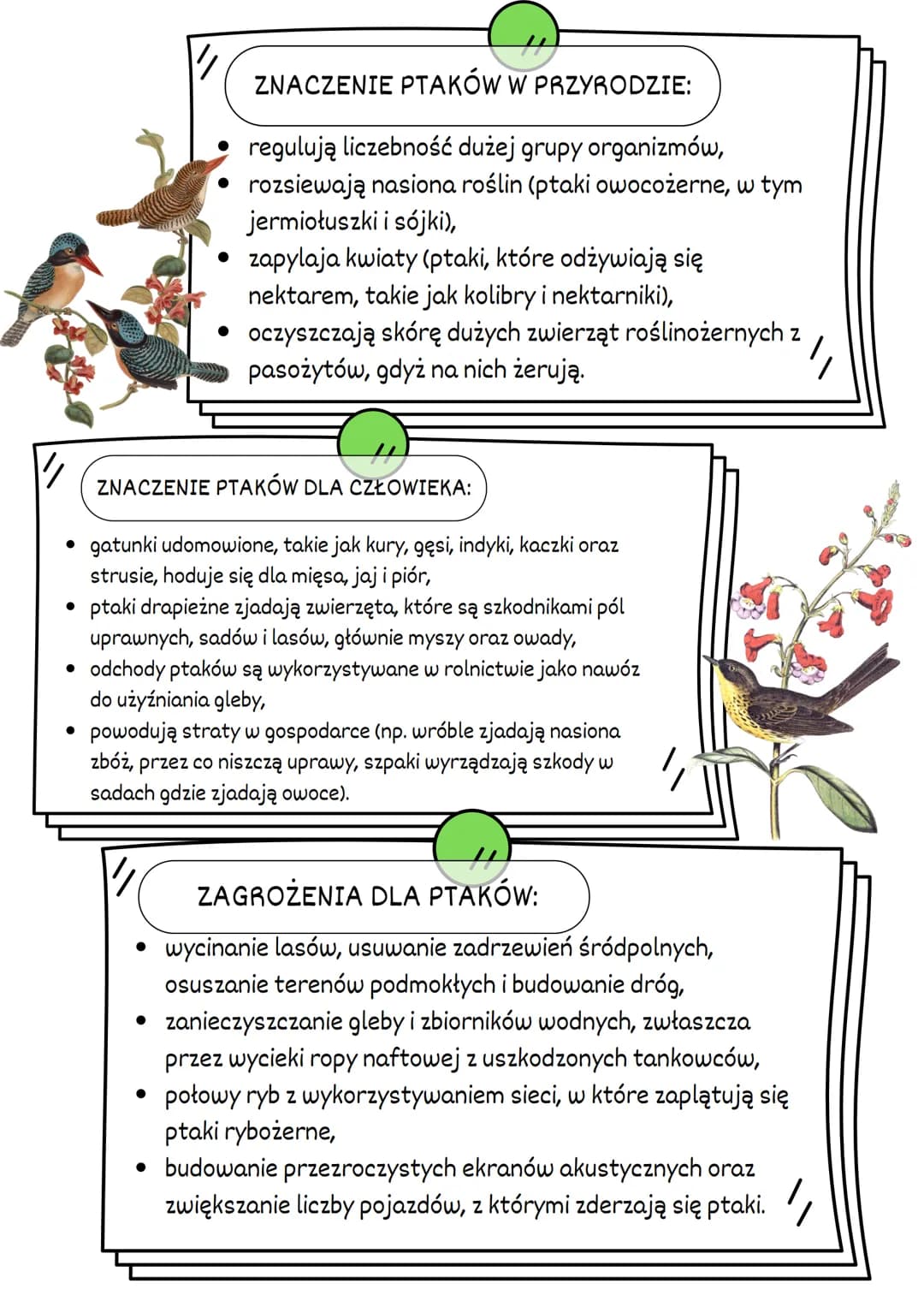 # PTAKI
BUDOWA CIAŁA PTAKÓW
pióra
oko
skrzydło
-dziób
ŚRODOWISKO
ZYCIA:
//
WYSTĘPUJĄ NA WSZYSTKICH KONTYNENTACH.
WYSTĘPUJĄ PRAWIE WE