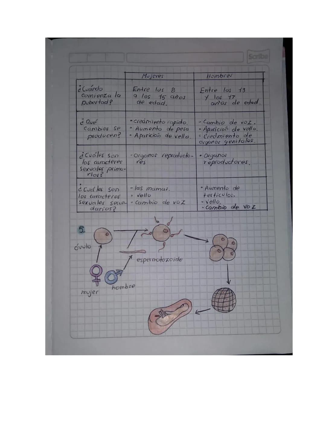 NOMBRE: Allison Sharith Gonzalez Ordoñez.
CURSO: 9-3
# chlo nistRUAL
1.
## Ciclo mestrual
Tambien denominado ciclo reproductivo
Se div