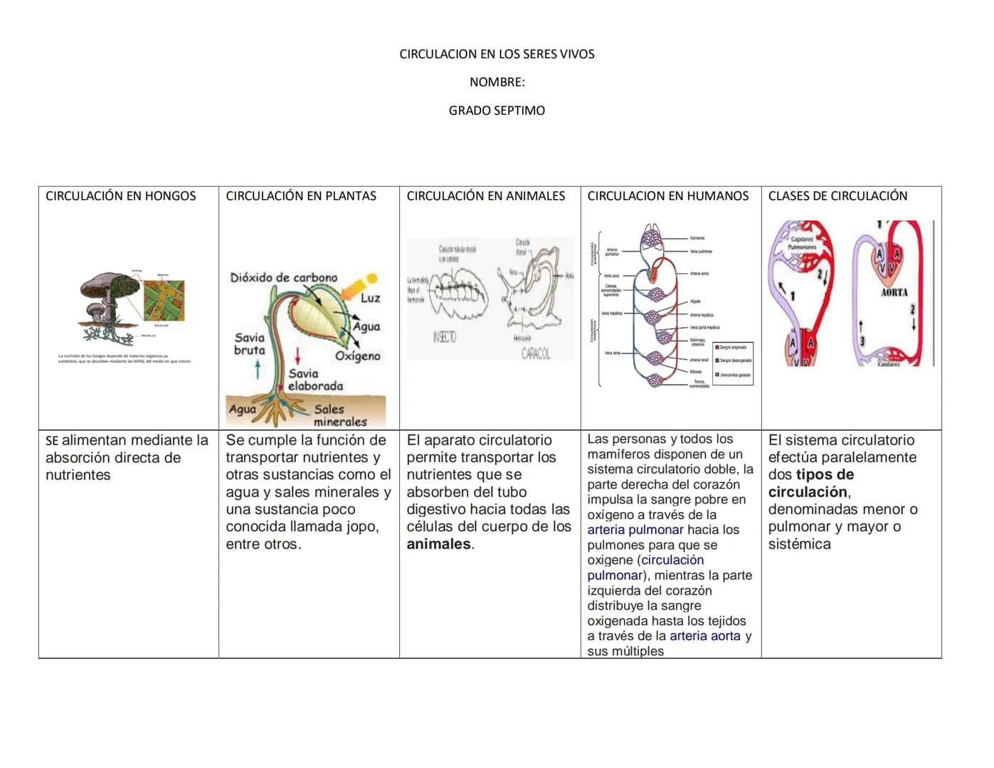 CIRCULACIÓN EN HONGOS CIRCULACIÓN EN PLANTAS
CIRCULACION EN LOS SERES VIVOS
NOMBRE:
GRADO SEΡΤΙΜΟ
CIRCULACIÓN EN ANIMALES
CIRCULACION E