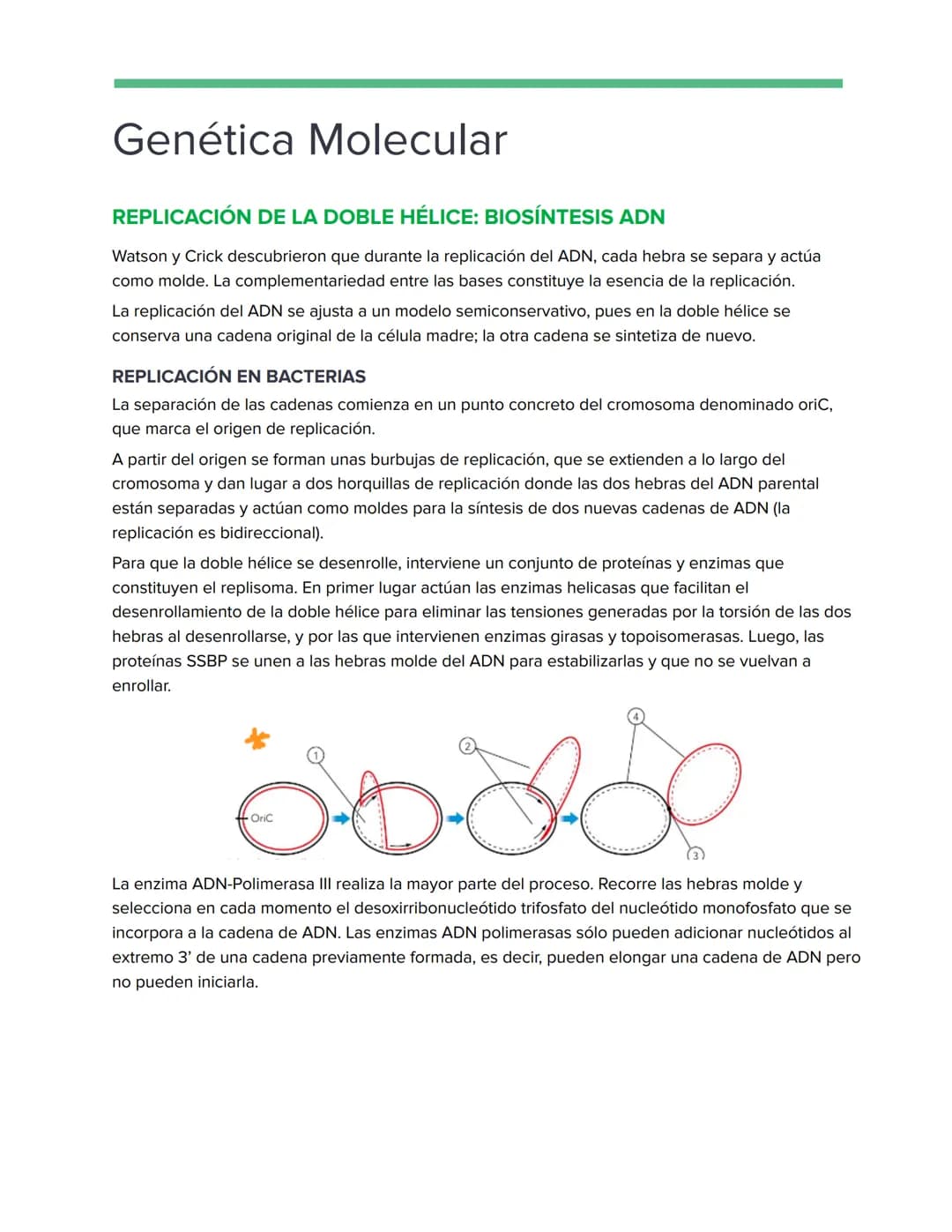 # Genética Molecular
REPLICACIÓN DE LA DOBLE HÉLICE: BIOSÍNTESIS ADN
Watson y Crick descubrieron que durante la replicación del ADN, cada