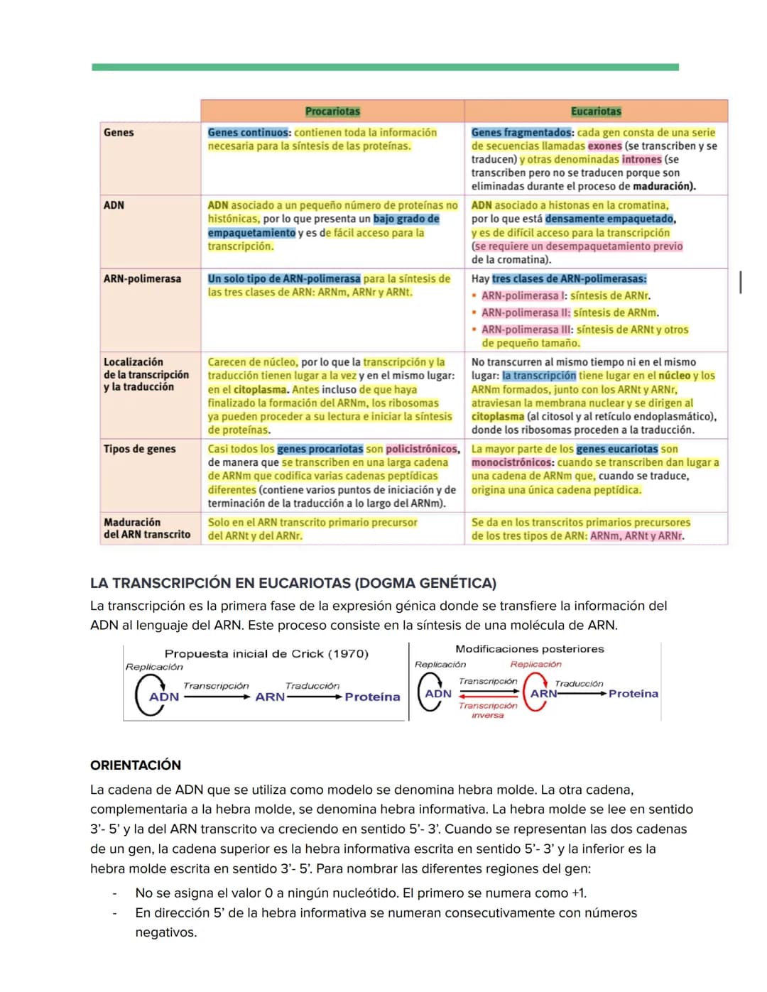 # Genética Molecular
REPLICACIÓN DE LA DOBLE HÉLICE: BIOSÍNTESIS ADN
Watson y Crick descubrieron que durante la replicación del ADN, cada