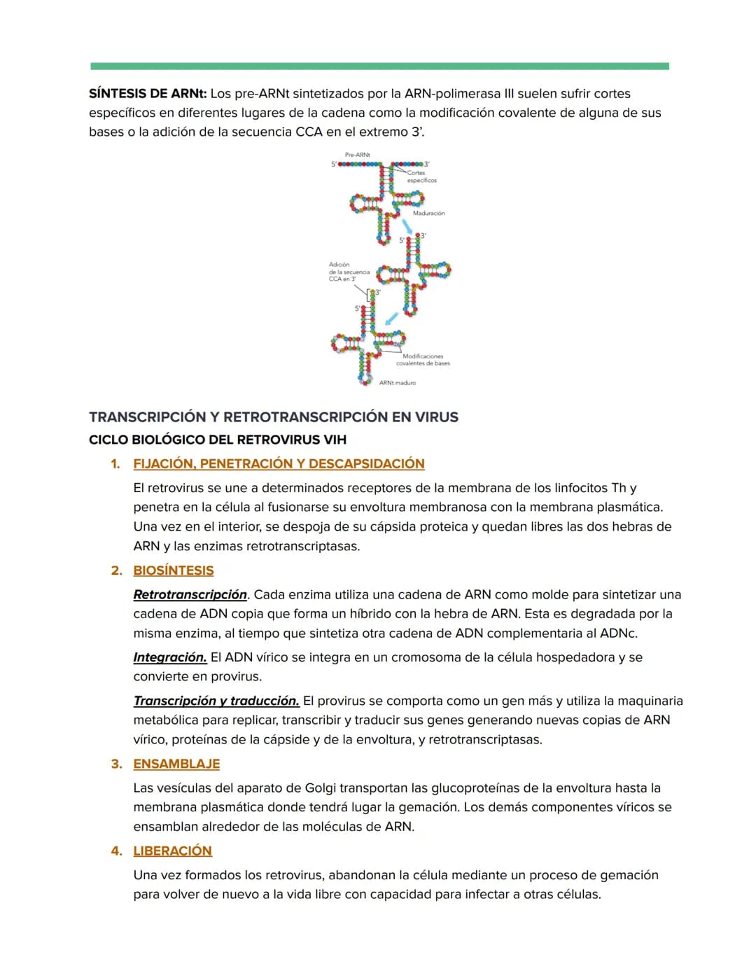 # Genética Molecular
REPLICACIÓN DE LA DOBLE HÉLICE: BIOSÍNTESIS ADN
Watson y Crick descubrieron que durante la replicación del ADN, cada