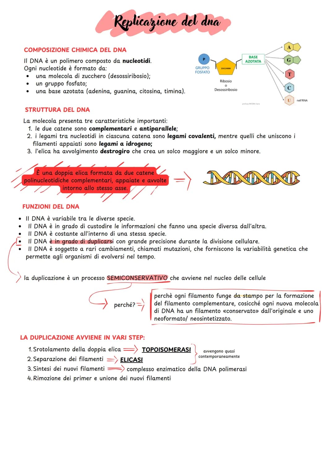 # Replicazione del dna
COMPOSIZIONE CHIMICA DEL DNA
II DNA è un polimero composto da nucleotidi.
Ogni nucleotide è formato da:
:
* una