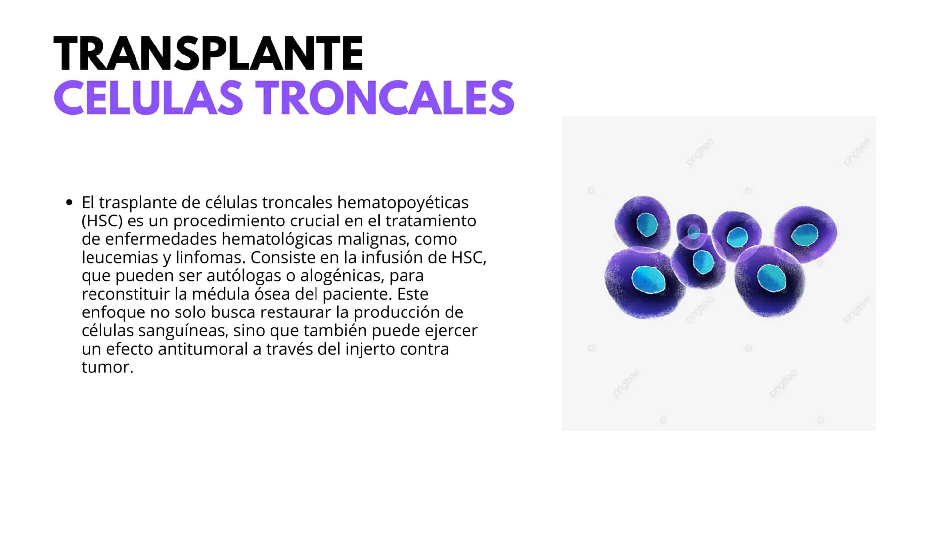 # UNIVERSIDAD
POTOSINA
Alejandro Cortez Grimaldo
# TRANSFUSION
# SANGUINEA
Sistema A B O y Rh # TRANSFUSION
SANGUINEA
* Procedimiento