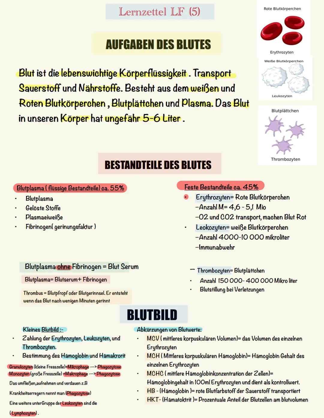 Lernzettel LF (5)
Rote Blutkörperchen
AUFGABEN DES BLUTES
Blut ist die lebenswichtige Körperflüssigkeit. Transport
Sauerstoff und Nährstof