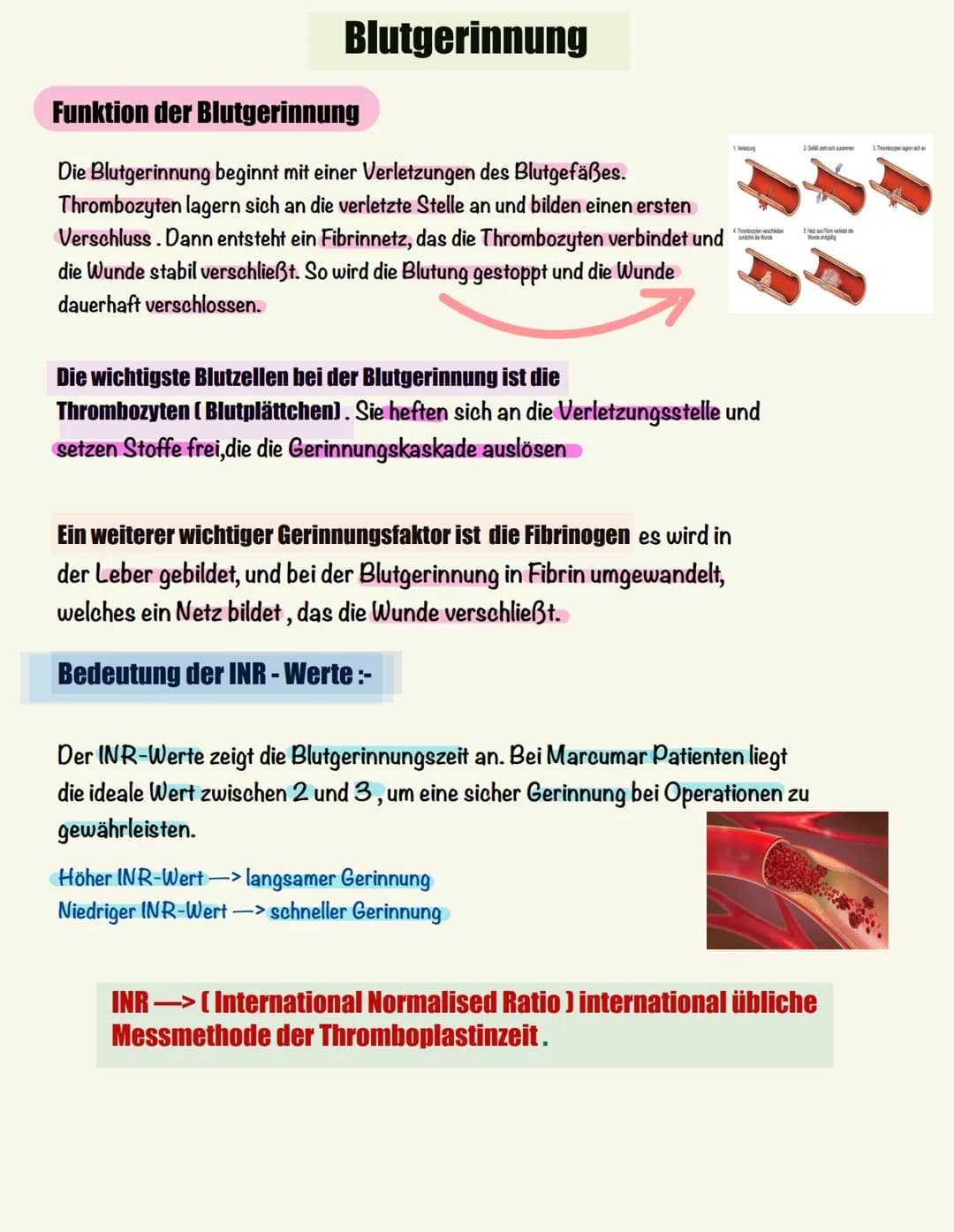 Lernzettel LF (5)
Rote Blutkörperchen
AUFGABEN DES BLUTES
Blut ist die lebenswichtige Körperflüssigkeit. Transport
Sauerstoff und Nährstof