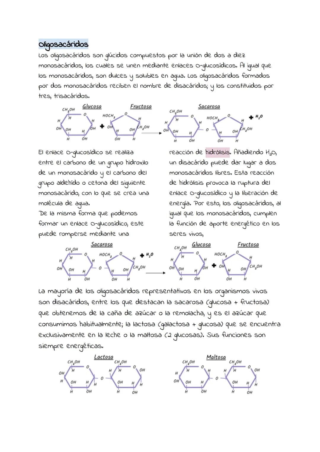 # Glucosidos
Los glúcidos son biomoléculas orgánicas formadas por carbono, oxígeno e
hidrógeno. Constituyen un grupo de sustancias muy exte