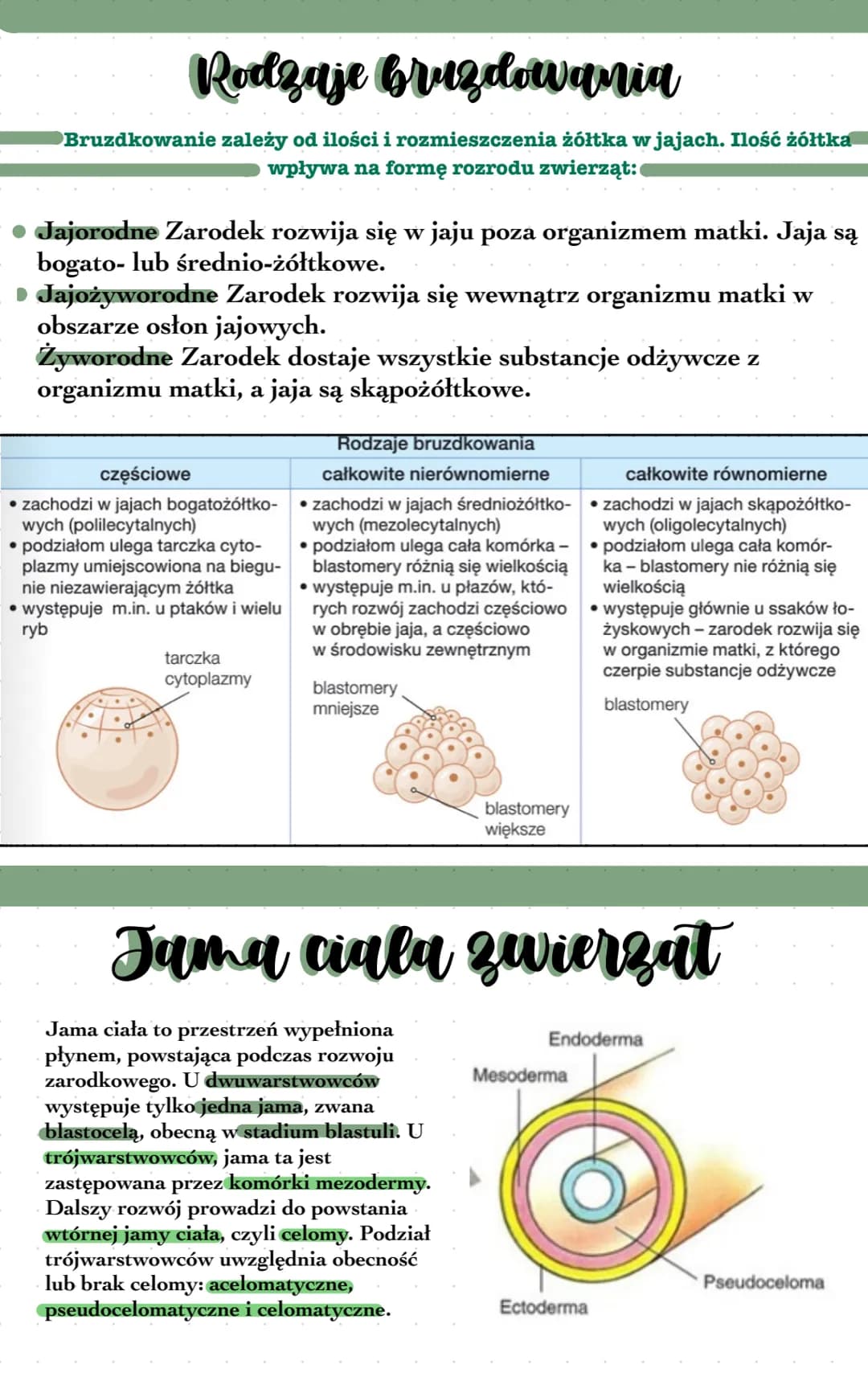 # Kryteria klasyfikacji zwierzał
• Do królestwa zwierząt należa organizmy wielokomórkowe, heterotroficzne ⚫
Zwierzęta zazwyczaj są
obdarz