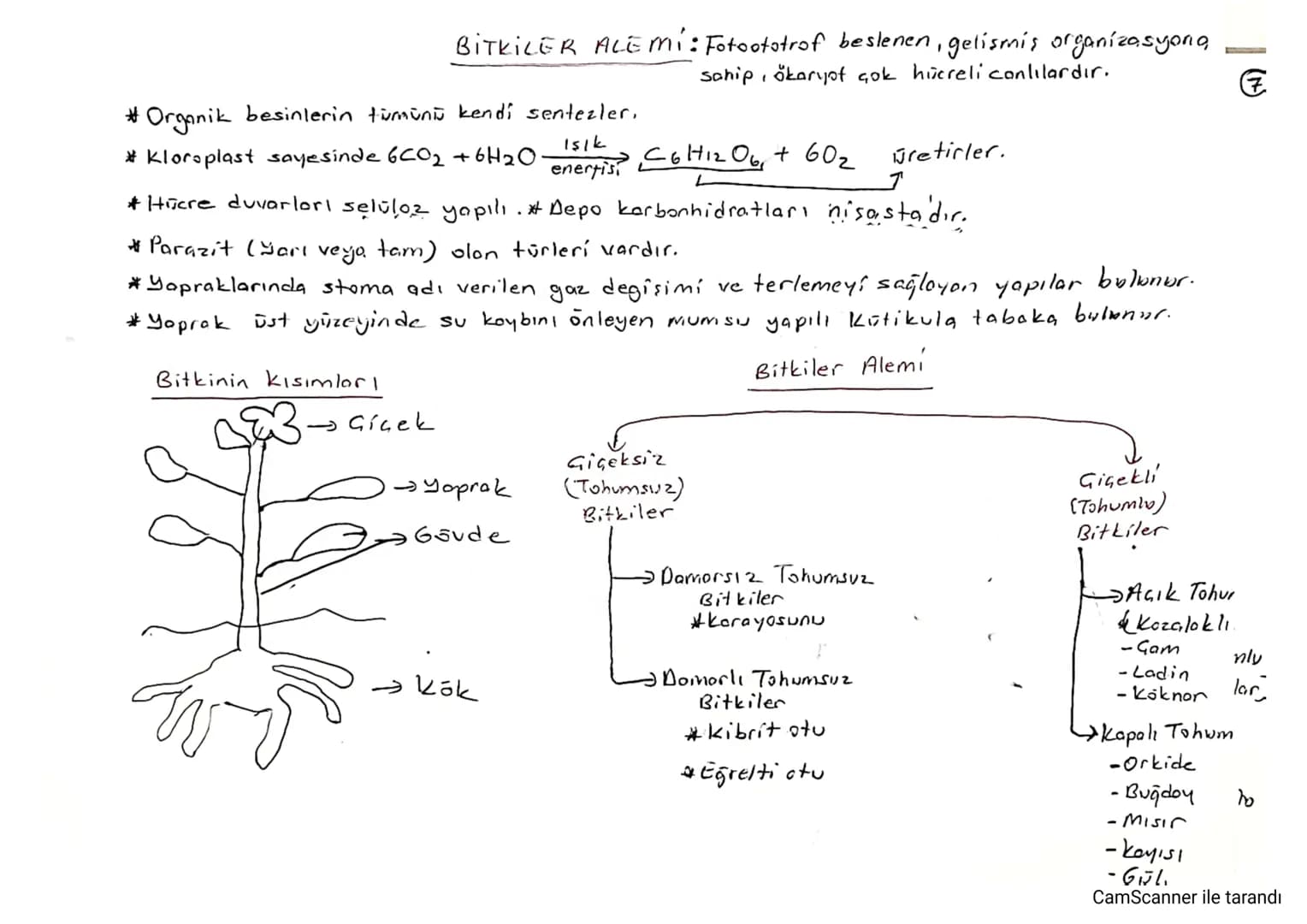 CANLILAR DÜNYASI
Canlıların Geşitliliği ve Sınıflandırılması:
*Canlıları belirli kriterlere göre gruplandıran, evrimsel geçmişleri.
ve gene