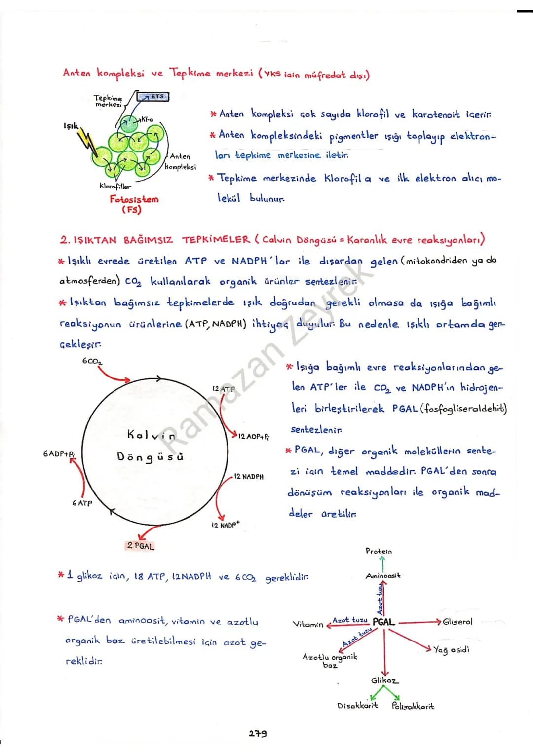 # FOTOSENTEZ
* Inorganik maddelerden (CO₂, H₂O yada H₂S) ışık enerjisi kullanılarak organik besin
(Glikoz, Yağ asidi, Gliserol, Aminoasit,