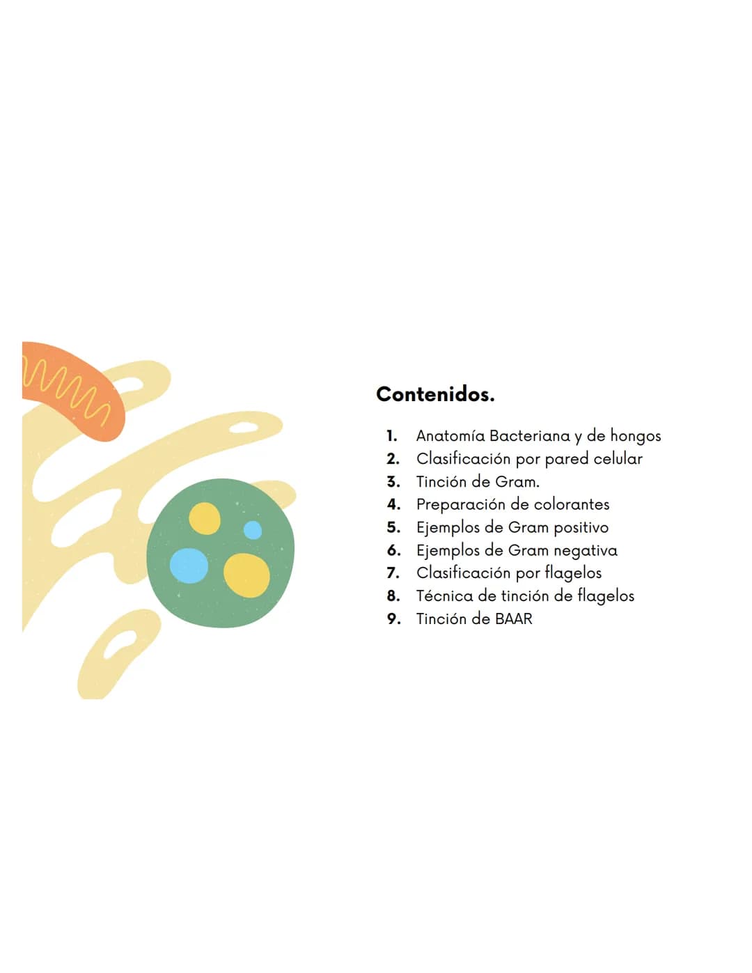 EQUIPO 2
Anatomia bacteriana mmm
Contenidos.
1. Anatomía Bacteriana y de hongos
2. Clasificación por pared celular
3. Tinción de Gram.
4.