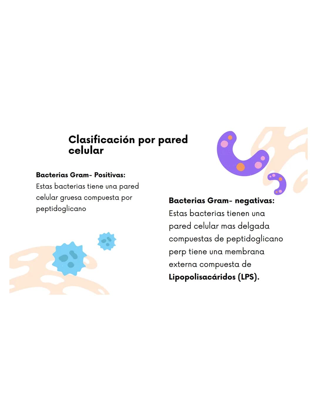 EQUIPO 2
Anatomia bacteriana mmm
Contenidos.
1. Anatomía Bacteriana y de hongos
2. Clasificación por pared celular
3. Tinción de Gram.
4.