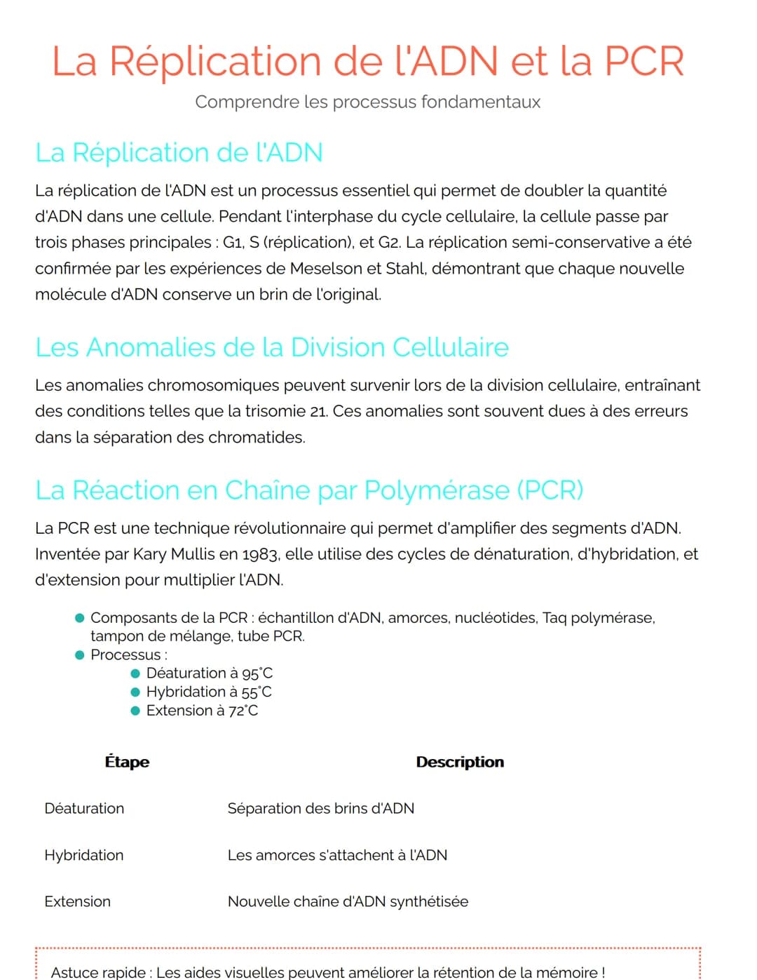 # La Réplication de l'ADN et la PCR
Comprendre les processus fondamentaux
## La Réplication de l'ADN
La réplication de l'ADN est un proces