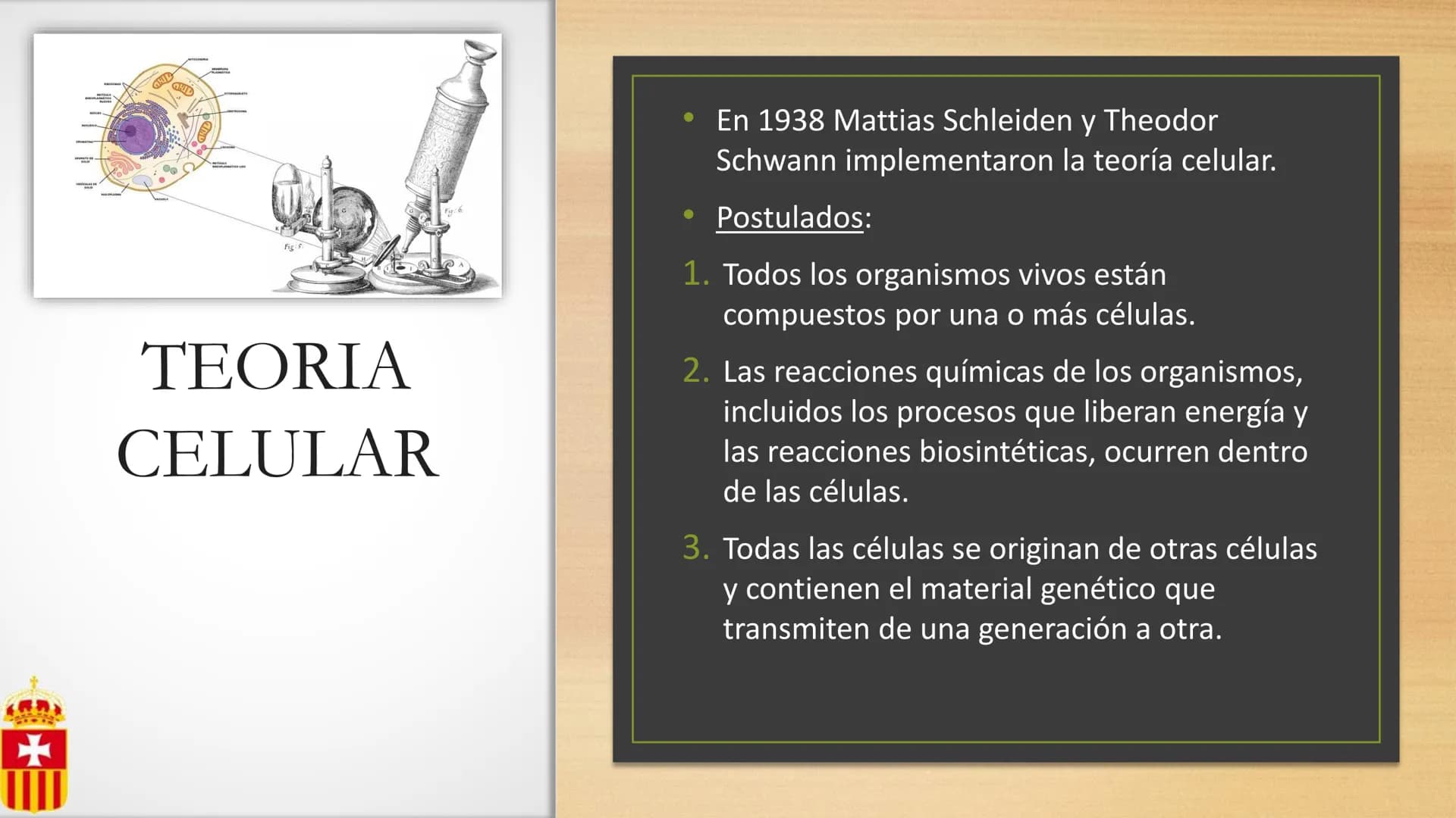 +
# CÉLULA
Prof. Macarena De Yong
4° año
MUN LA CUIDAMOS TODOS, TODOS, TODO
RREDUCIRO
ALA
RECICLAR # Definición
La célula es la unidad est