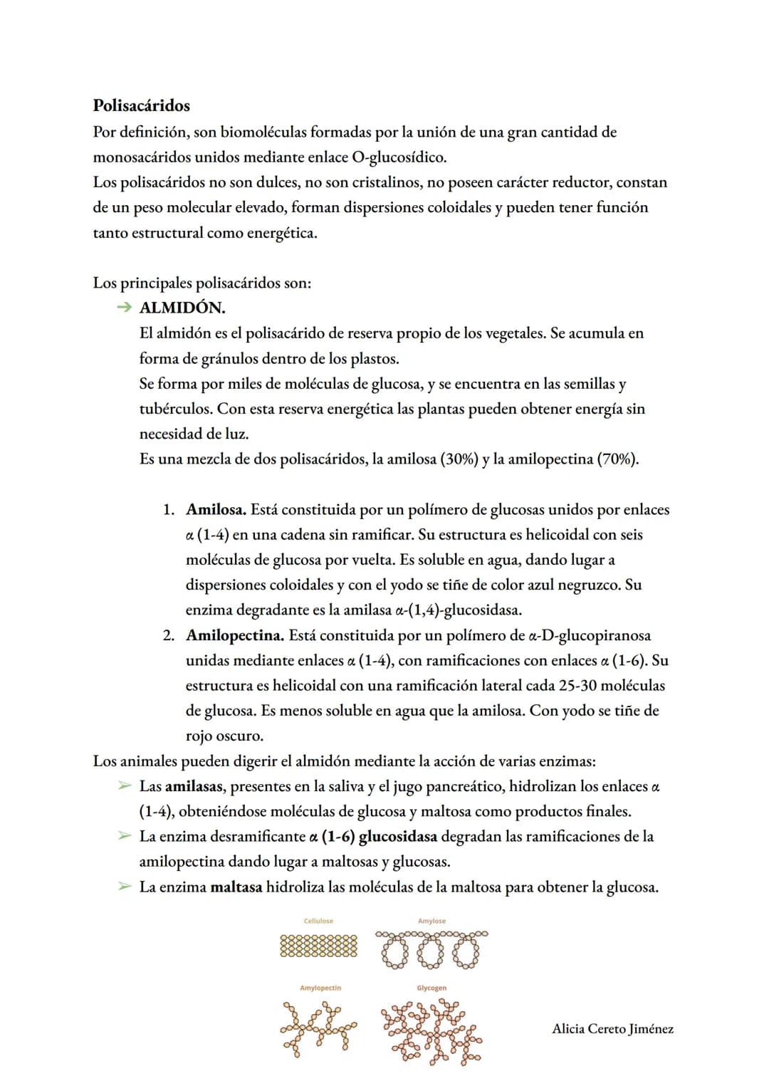 # Glúcidos y lípidos
--- TEMA 2 ---
Alicia Cereto Jiménez # GLÚCIDOS
Son biomoléculas formadas por $C_nO_{2n}H_n$ (mal llamados hidratos
