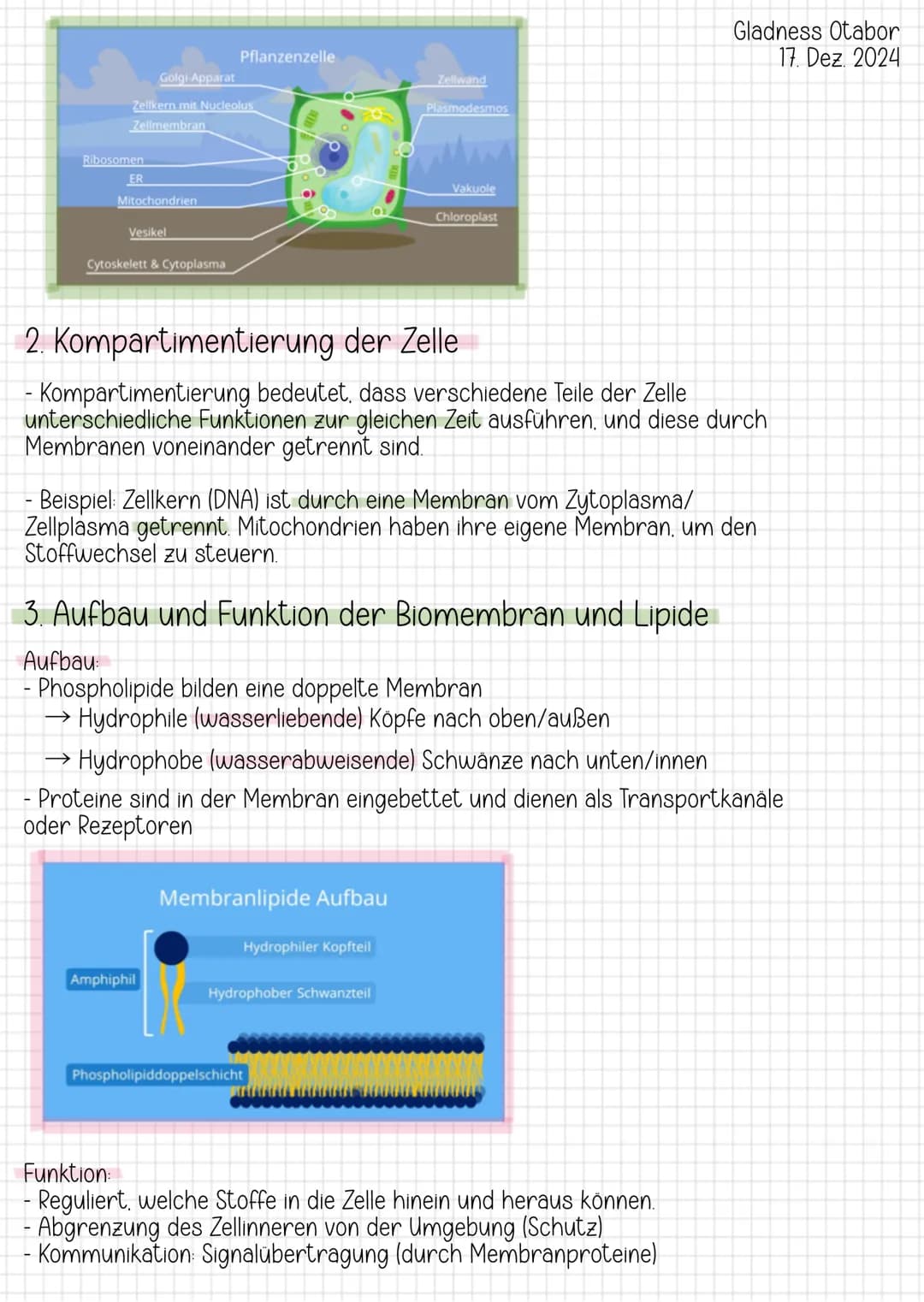 # Lernzettel Biologie-Klausur
1. Aufbau der Tier- und Pflanzenzelle
Tierzelle:
- keine Zellwand
- Zellmembran als außere Begrenzung (regu