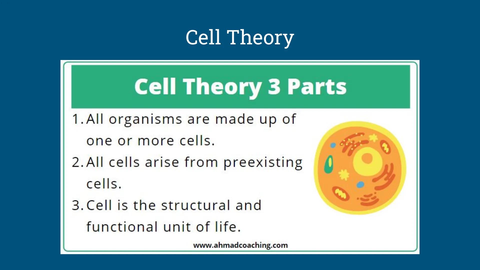# Benchmark Review
Benchmark 12/18/24 Unit 1: Biomolecules
Understandings & Questions
The function of biomolecules, including carbohydrate