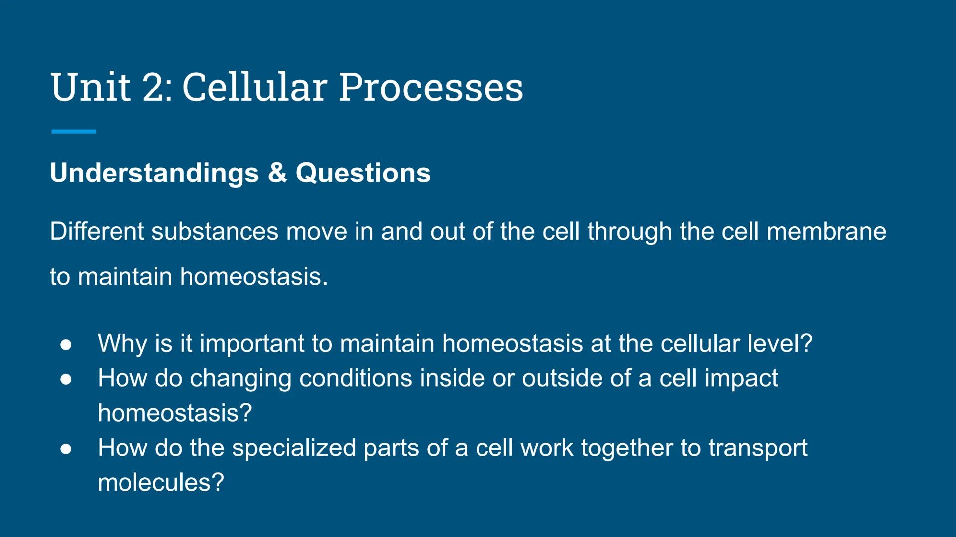 # Benchmark Review
Benchmark 12/18/24 Unit 1: Biomolecules
Understandings & Questions
The function of biomolecules, including carbohydrate