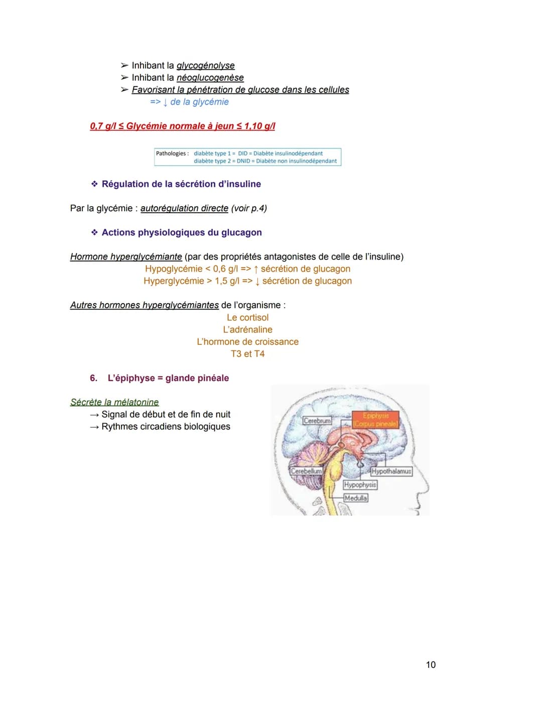 - Hormones stéroïdiennes (Leur précurseur = le cholestérol)
Exemple: hormones produites par le cortex surrénalien, hormones sexuelles
Sécré