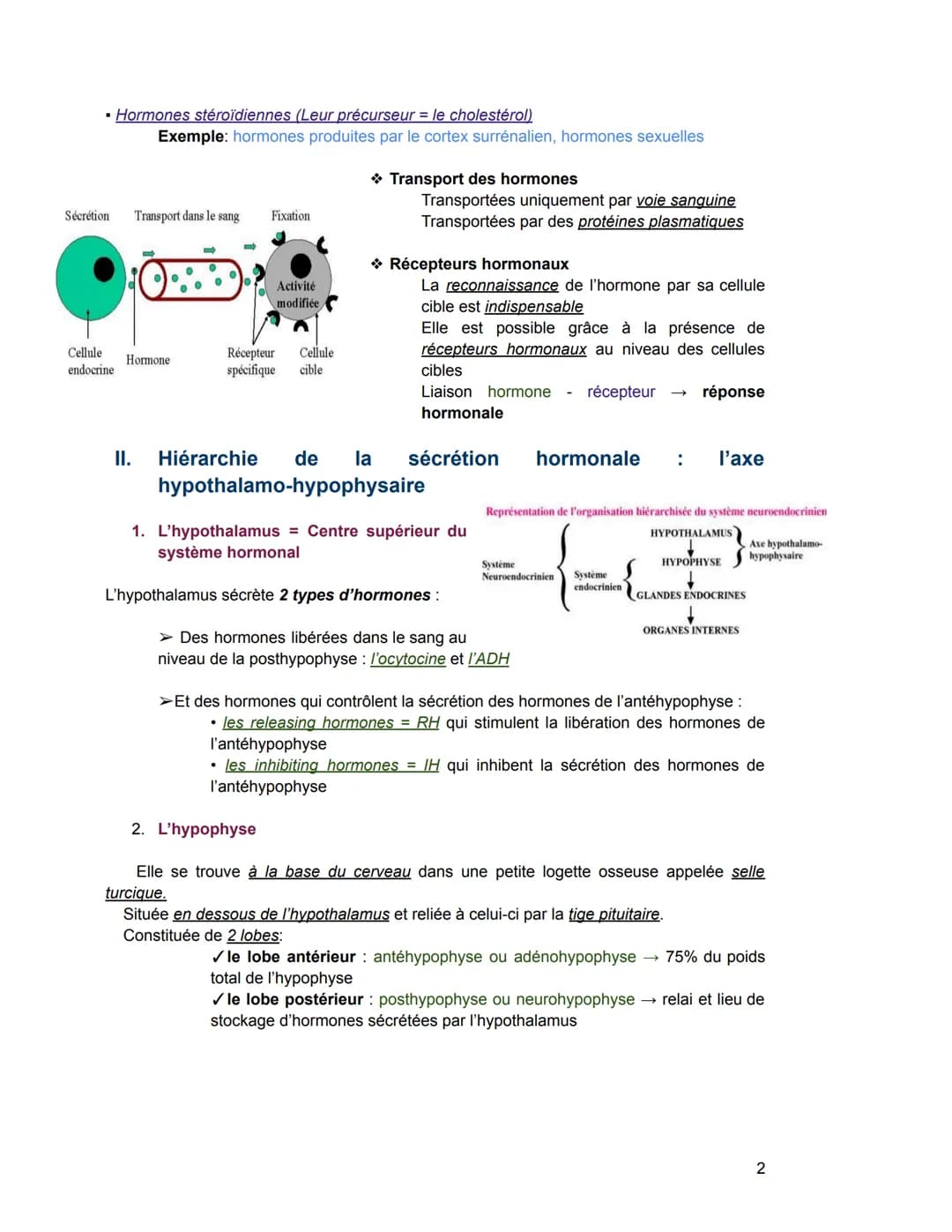 - Hormones stéroïdiennes (Leur précurseur = le cholestérol)
Exemple: hormones produites par le cortex surrénalien, hormones sexuelles
Sécré