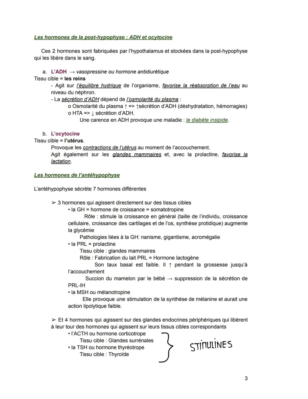 - Hormones stéroïdiennes (Leur précurseur = le cholestérol)
Exemple: hormones produites par le cortex surrénalien, hormones sexuelles
Sécré