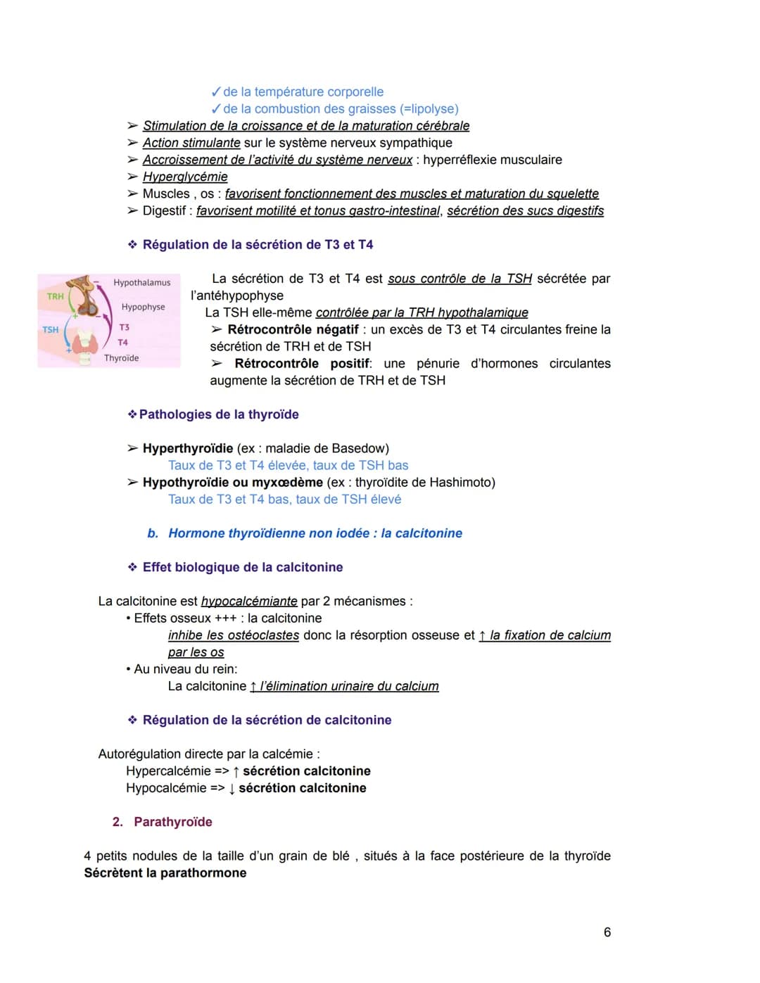 - Hormones stéroïdiennes (Leur précurseur = le cholestérol)
Exemple: hormones produites par le cortex surrénalien, hormones sexuelles
Sécré