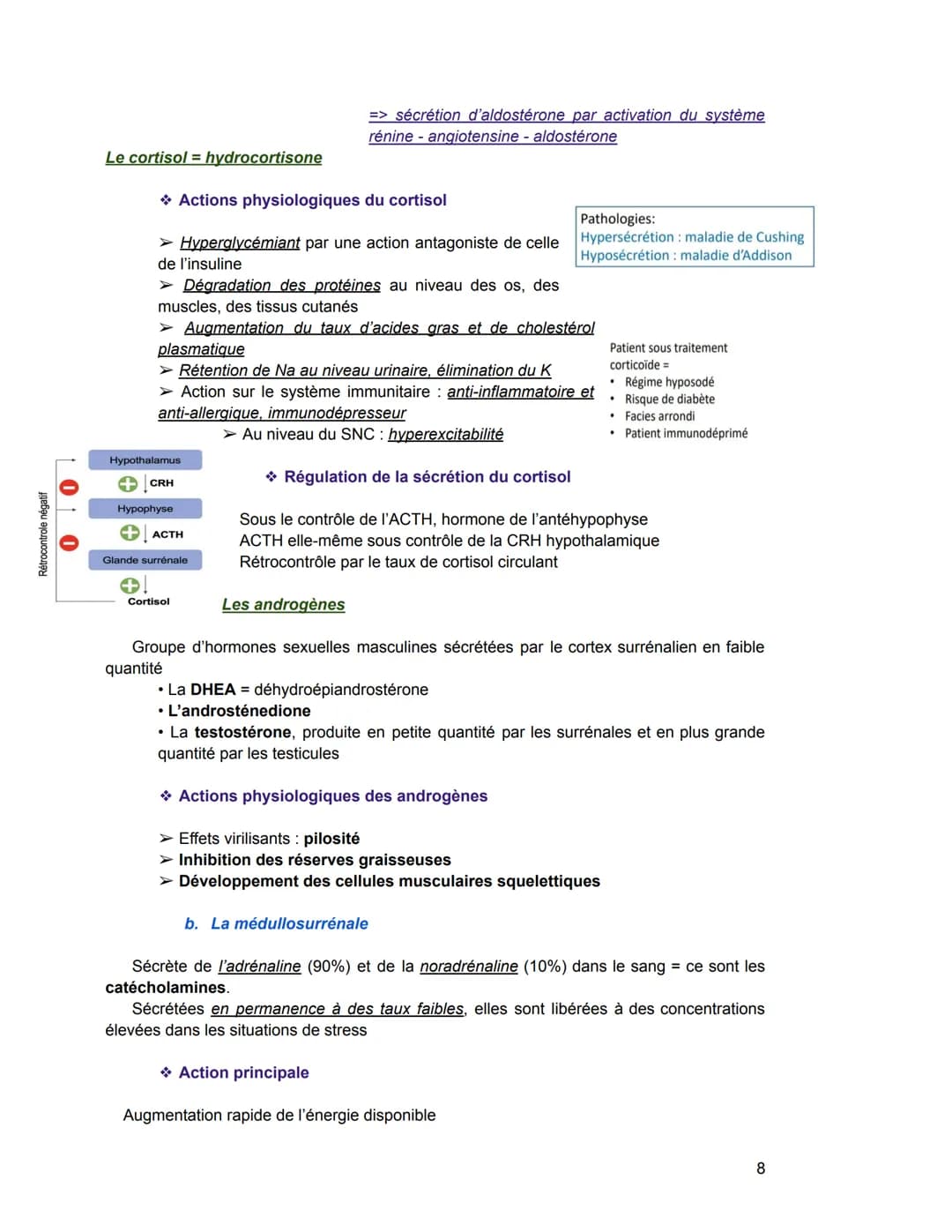 - Hormones stéroïdiennes (Leur précurseur = le cholestérol)
Exemple: hormones produites par le cortex surrénalien, hormones sexuelles
Sécré