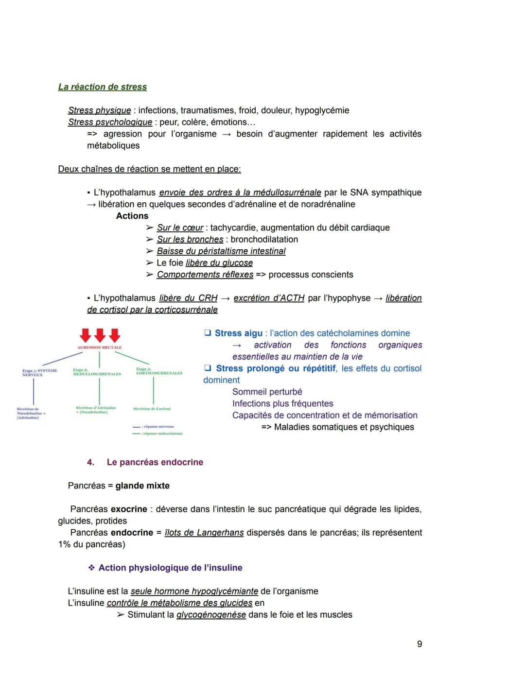 - Hormones stéroïdiennes (Leur précurseur = le cholestérol)
Exemple: hormones produites par le cortex surrénalien, hormones sexuelles
Sécré