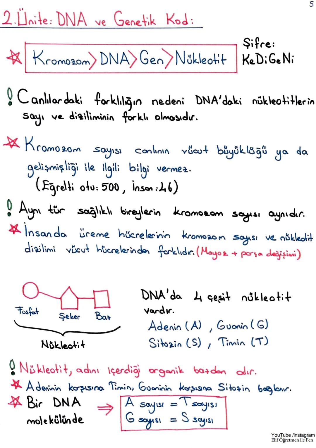 # LGS 1. Dönem Tekrar
1. Ünite: Mevsimler ve İklim
Dünya'nın
Hareketleri
→ Günlük hareket
Dünya'nın kendi ekseni
etrafında dönmesi (24 sa