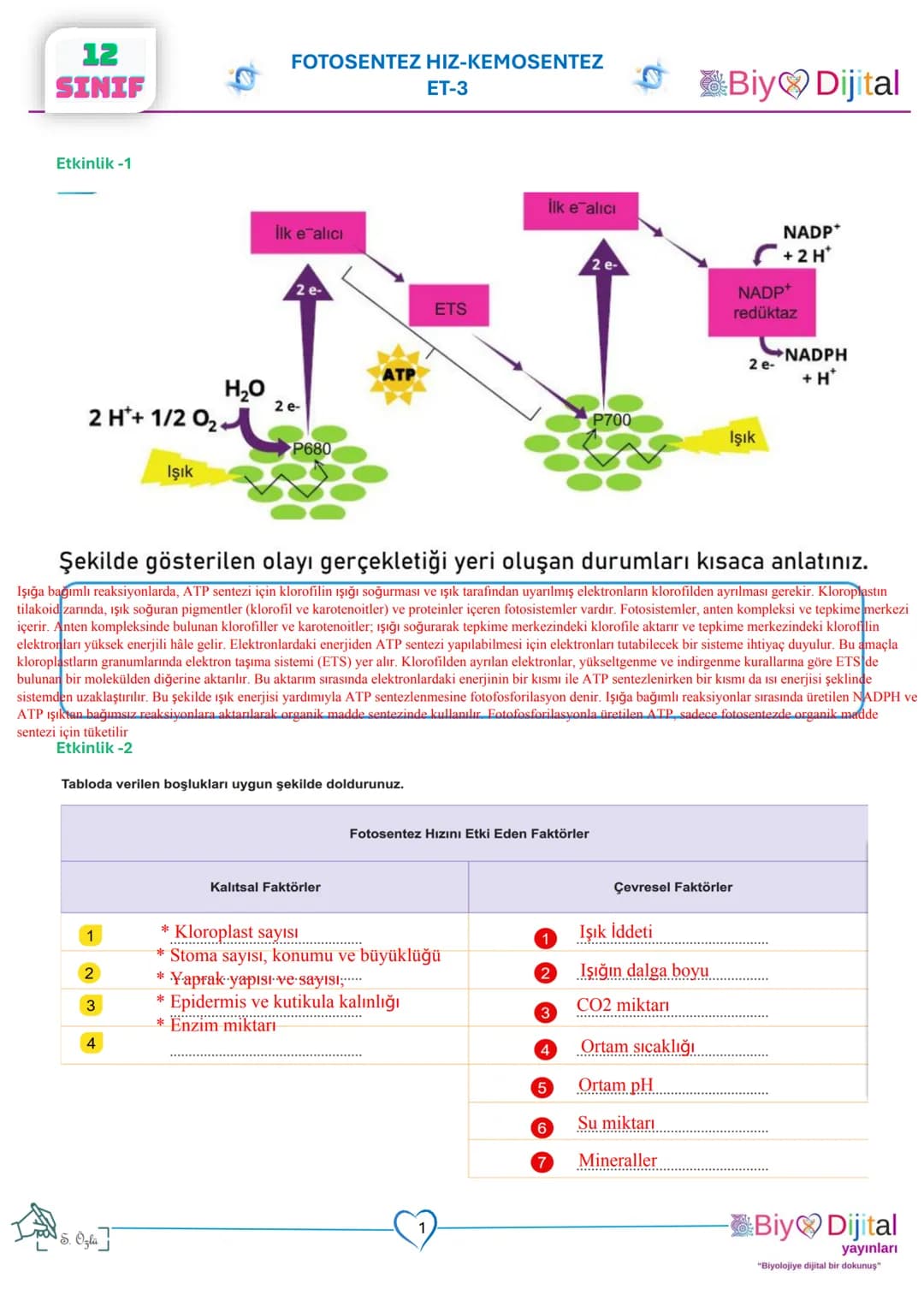 # 12
SINIF
# FOTOSENTEZ HIZ-KEMOSENTEZ
ET-3
Biy Dijital
Etkinlik-1
lik e alıcı
2 e-
ETS
ATP
H₂O
2 H*+ 1/2 02
2 e-
P680
Işık
İlk