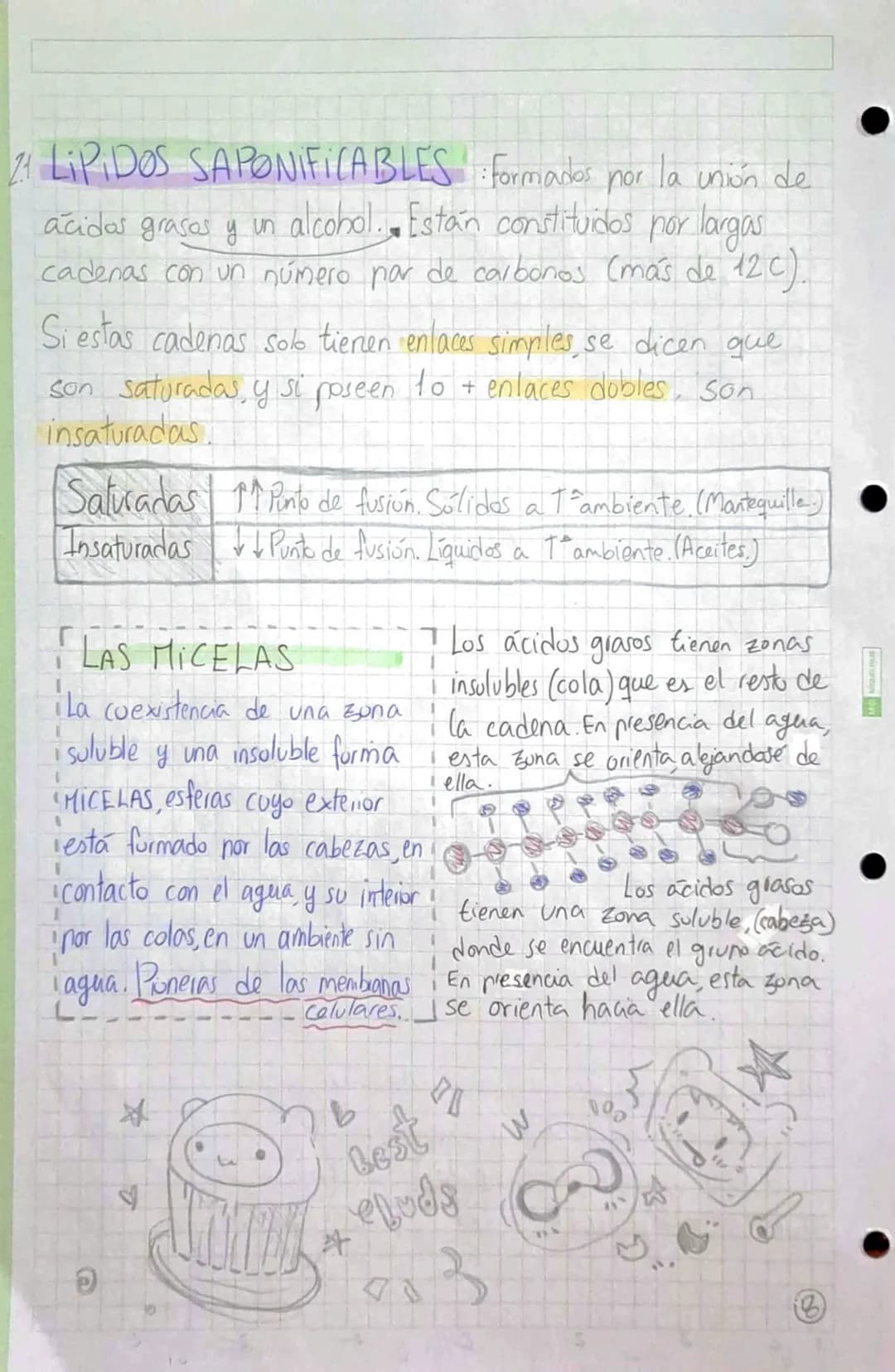 •
•
•
# BIOMOLÉCULAS ORGÁNICAS
•Formadas por Carbono, Hidrógeno, Oxígeno y Mitrógeno.
• Su estructura puede ser simple o compuesta,
dependie