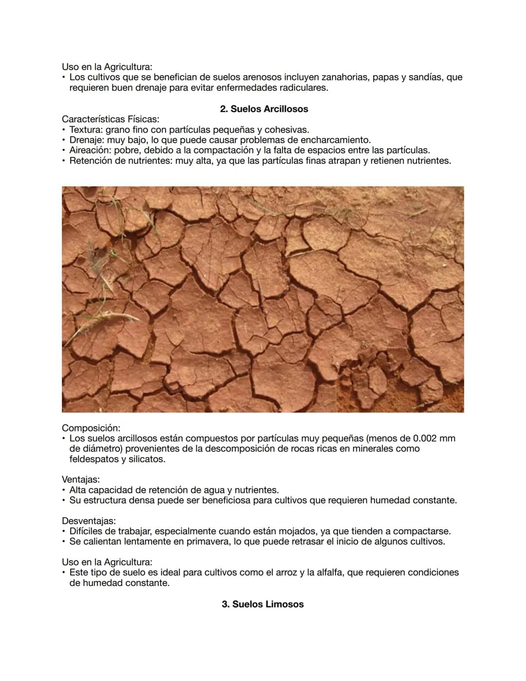 CAPITULO 2: PROPIEDADES FÍSICAS, QUÍMICAS Y BIOLÓGICAS DEL SUELO
PROPIEDADES FISICAS
Tarea 1: Investigar las características de los suelos