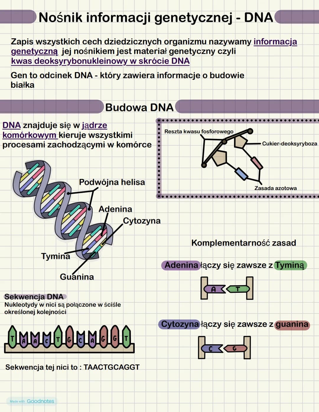 # Nośnik informacji genetycznej - DNA
Zapis wszystkich cech dziedzicznych organizmu nazywamy informacja
genetyczną jej nośnikiem jest mater