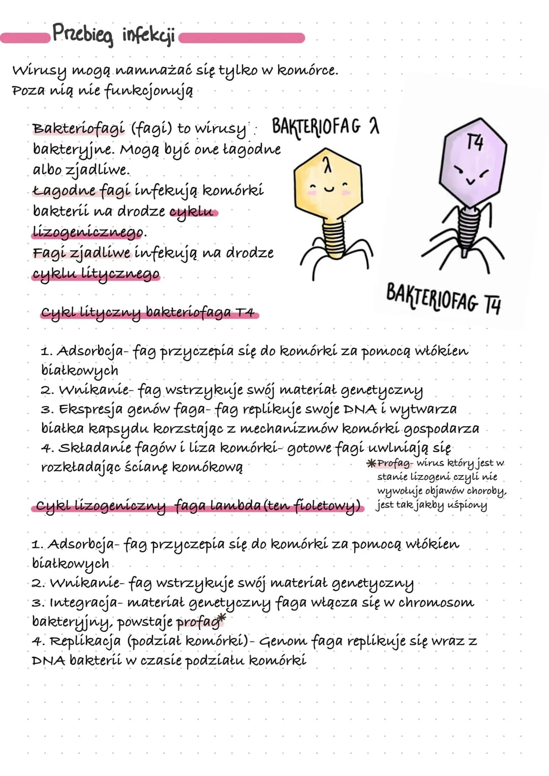 # Wstęp
Wirusy - molekularne pasożyty
wirusy są czynnikami
zaraźnymi zbudowanymi z białka
i kwasu nukleinowego. Atakują
prawie wszystkie o