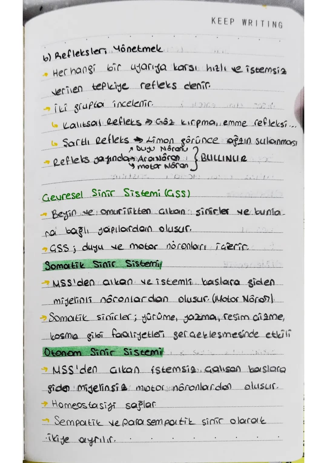 KEEP WRITING
Sinaps
Biro sinir hücresinin başka bir sinir hücresi.
ile veya tepki organıyla bağlantı yaptığı jerdir.
Sinapsın Gerçeklesmesi