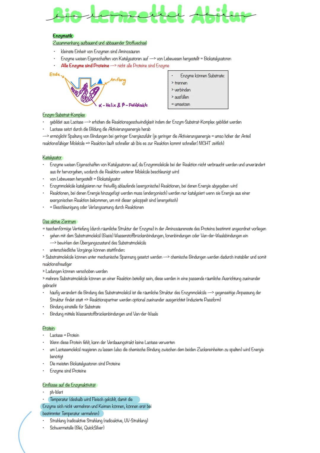 # Enzymatik
Zusammenhang aufbauend und abbauender Stoffwechsel
* kleinste Einheit von Enzymen sind Aminosäuren
* Enzyme weisen Eigensc