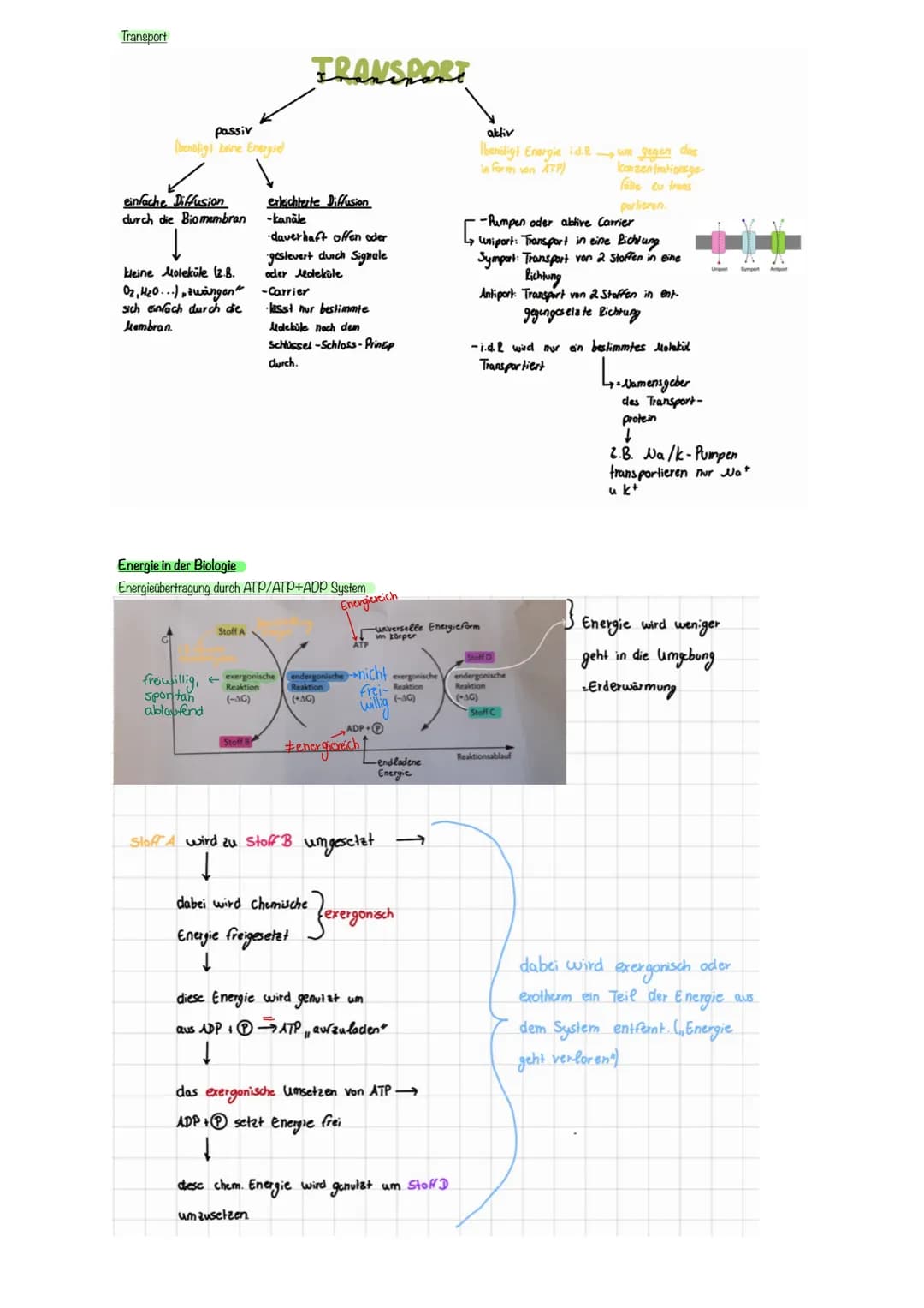 # Enzymatik
Zusammenhang aufbauend und abbauender Stoffwechsel
* kleinste Einheit von Enzymen sind Aminosäuren
* Enzyme weisen Eigensc