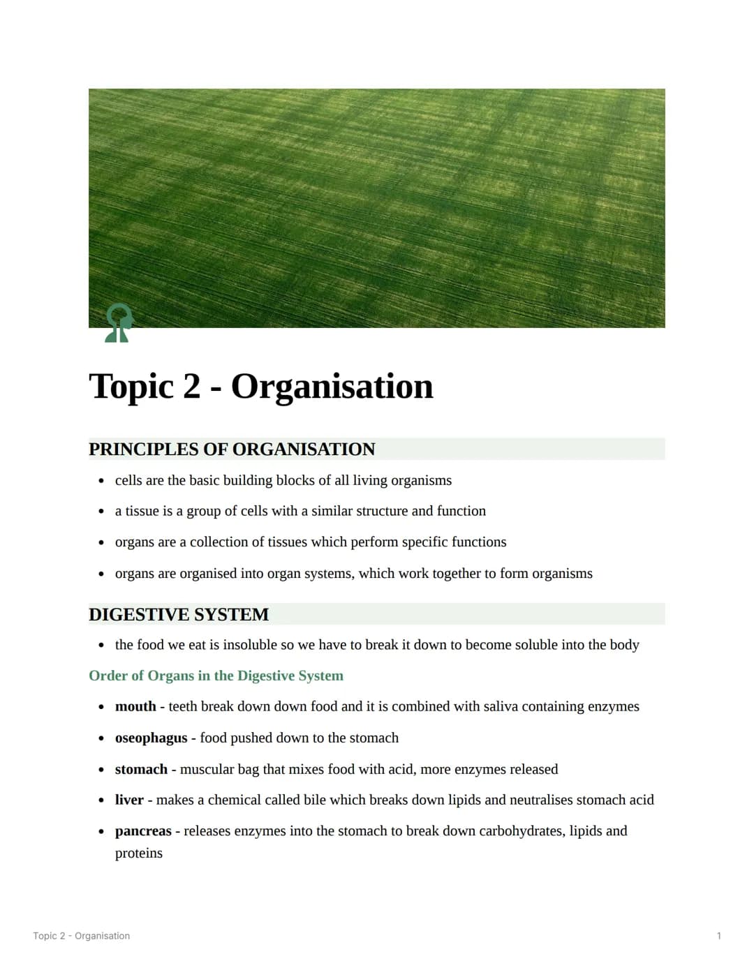 Topic 2 - Organisation
PRINCIPLES OF ORGANISATION
- cells are the basic building blocks of all living organisms
- a tissue is a group of ce
