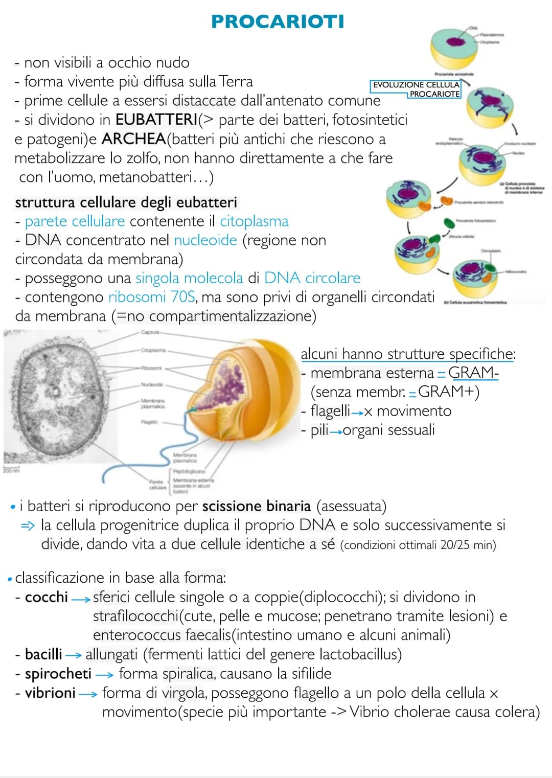 # Biologia e fondamenti
di genetica
LE CARATTERISTICHE FONDAMENTALI DEGLI
ORGANISMI VIVENTI
gli esseri viventi sono accomunati dal consegu