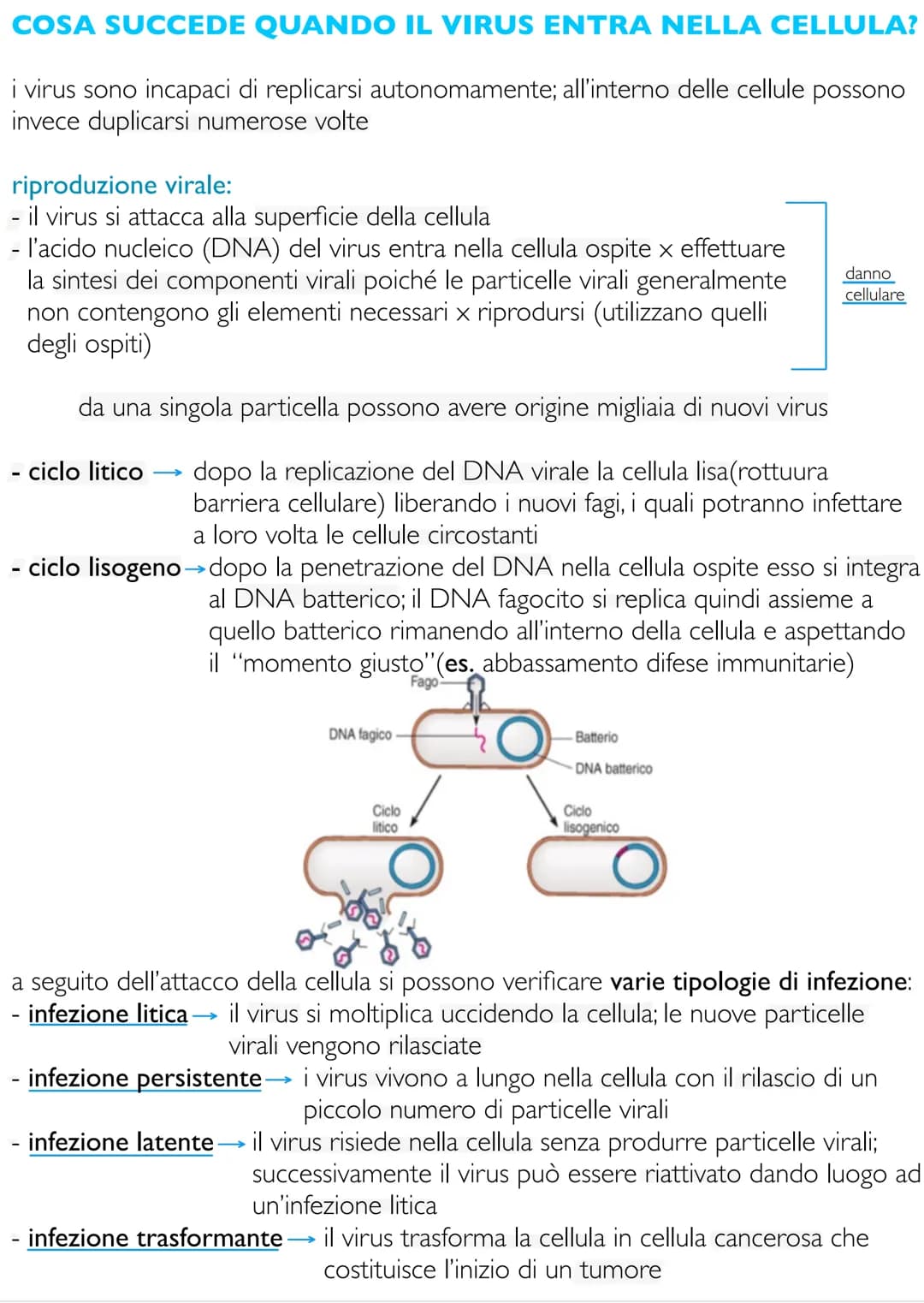 # Biologia e fondamenti
di genetica
LE CARATTERISTICHE FONDAMENTALI DEGLI
ORGANISMI VIVENTI
gli esseri viventi sono accomunati dal consegu