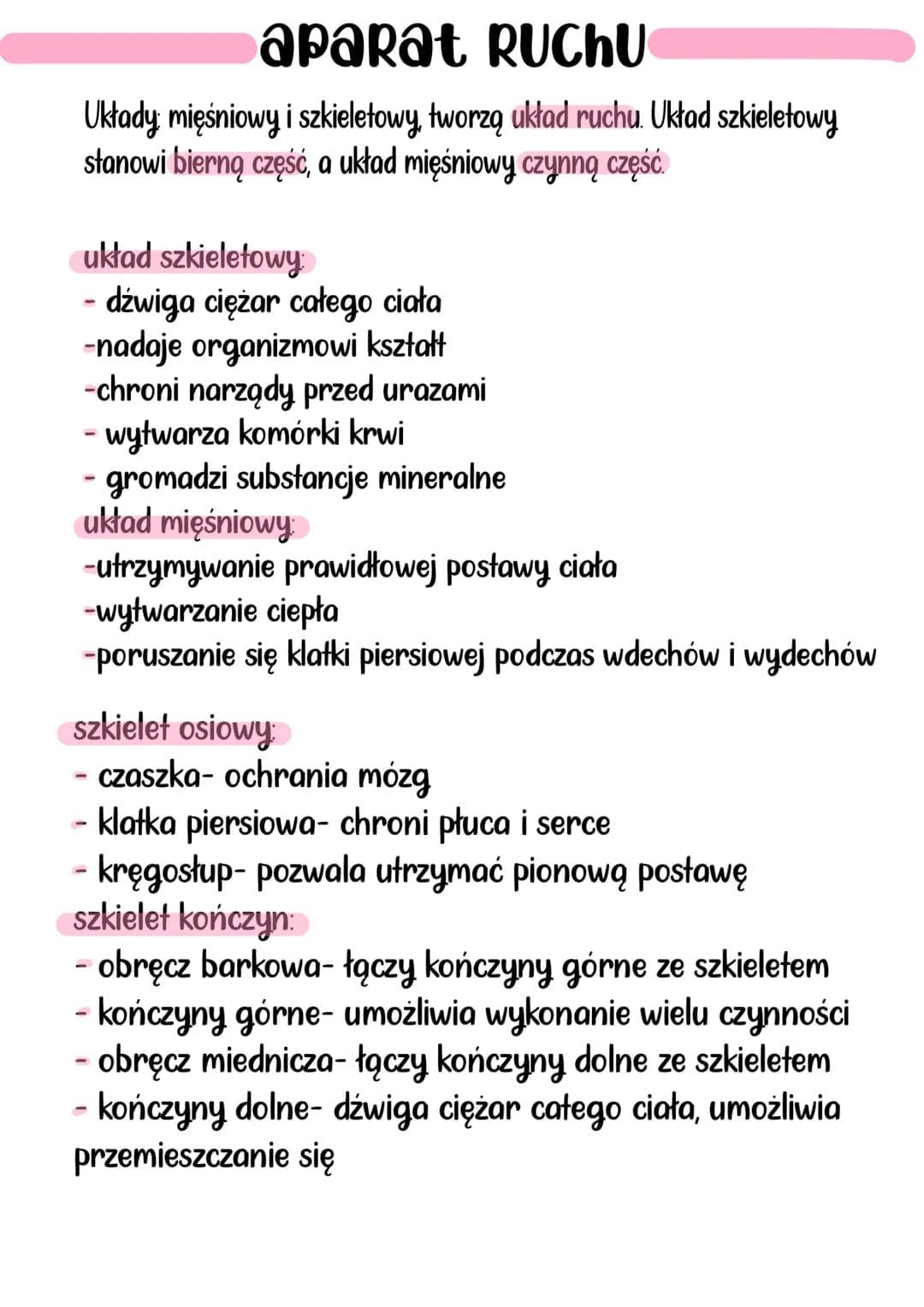 # aparat RUCHU
Układy mięśniowy i szkieletowy, tworzą układ ruchu. Układ szkieletowy
stanowi bierną część, a układ mięśniowy czynną część.