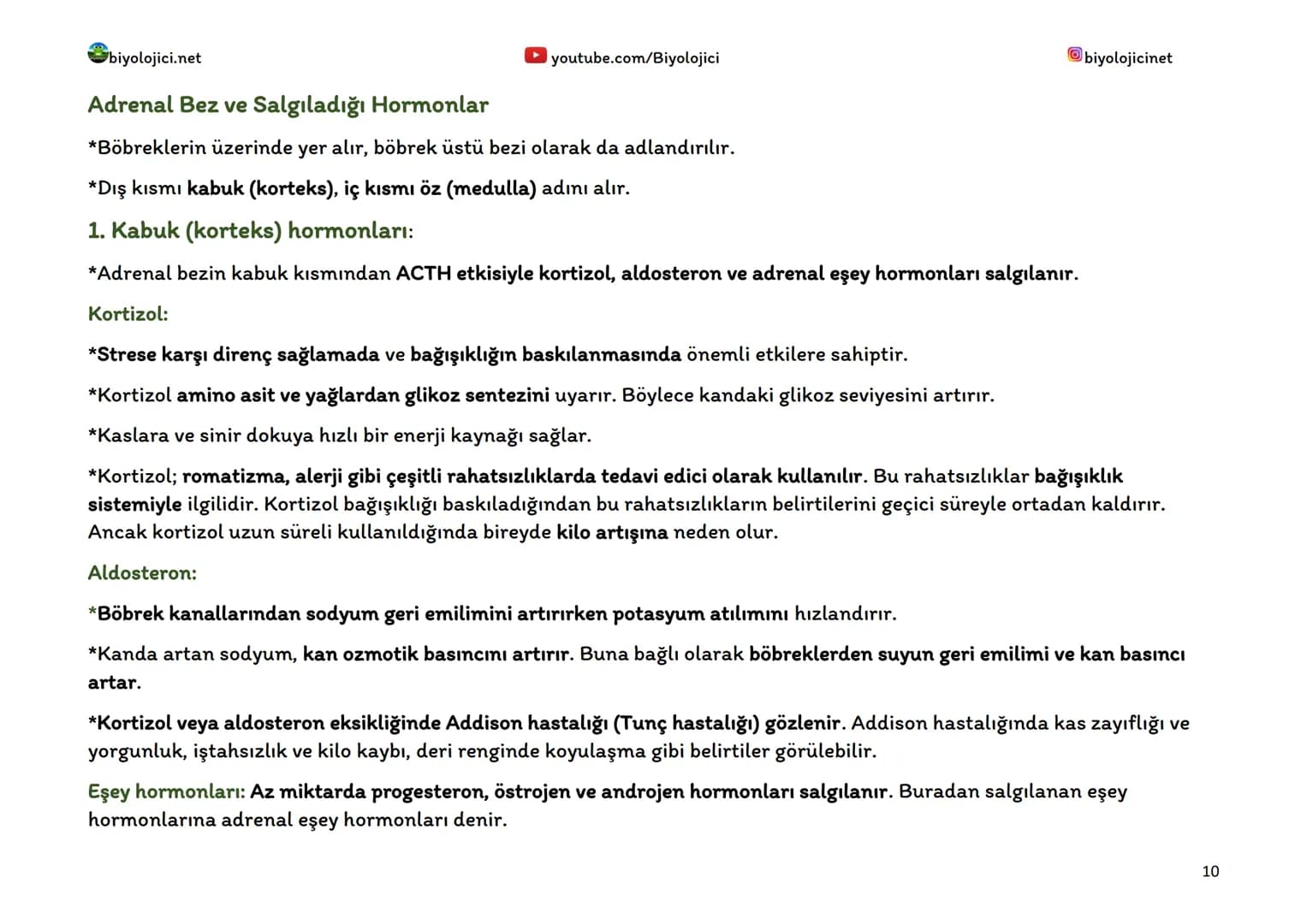 biyolojici.net
youtube.com/Biyolojici
biyolojicinet
# ENDOKRİN SİSTEM (HORMONAL SİSTEM)
*Vücuttaki faaliyetleri kontrol eden, kimyasal haber