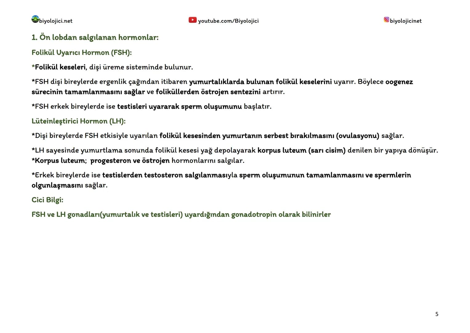 biyolojici.net
youtube.com/Biyolojici
biyolojicinet
# ENDOKRİN SİSTEM (HORMONAL SİSTEM)
*Vücuttaki faaliyetleri kontrol eden, kimyasal haber