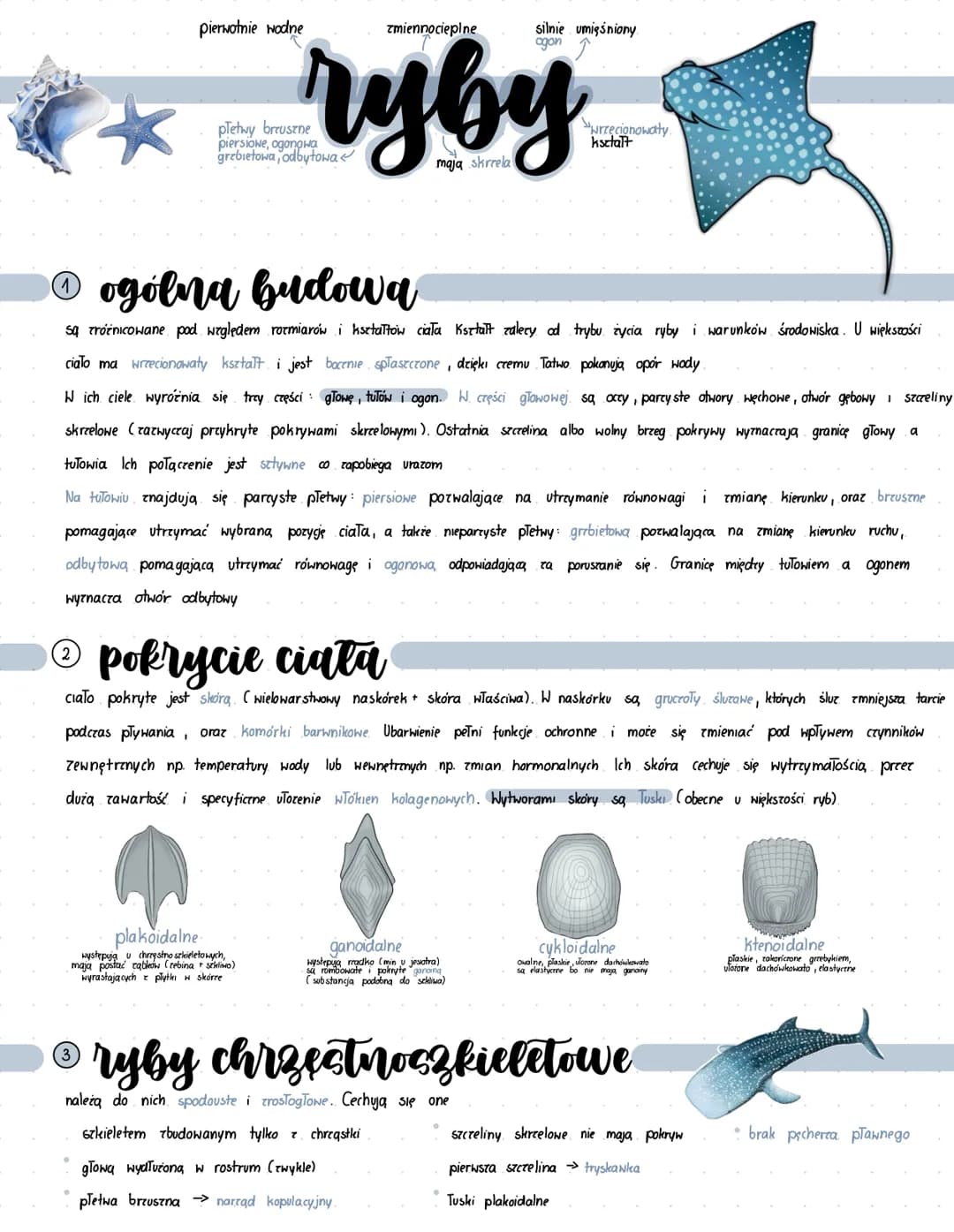 # pierwotnie wodne
# zmiennocieplne
# ryby
* płetwy brruszne
piersiowe, ogonowа
grebietowa, odbytowa<
* silnie umięśniony