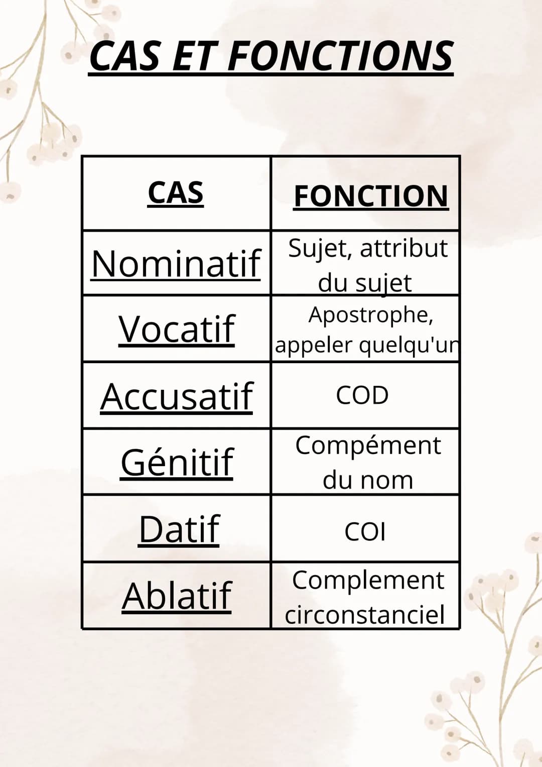 # CAS ET FONCTIONS
| CAS | FONCTION |
| :-------- | :-------------------- |
| Nominatif | Sujet, attribut |
|