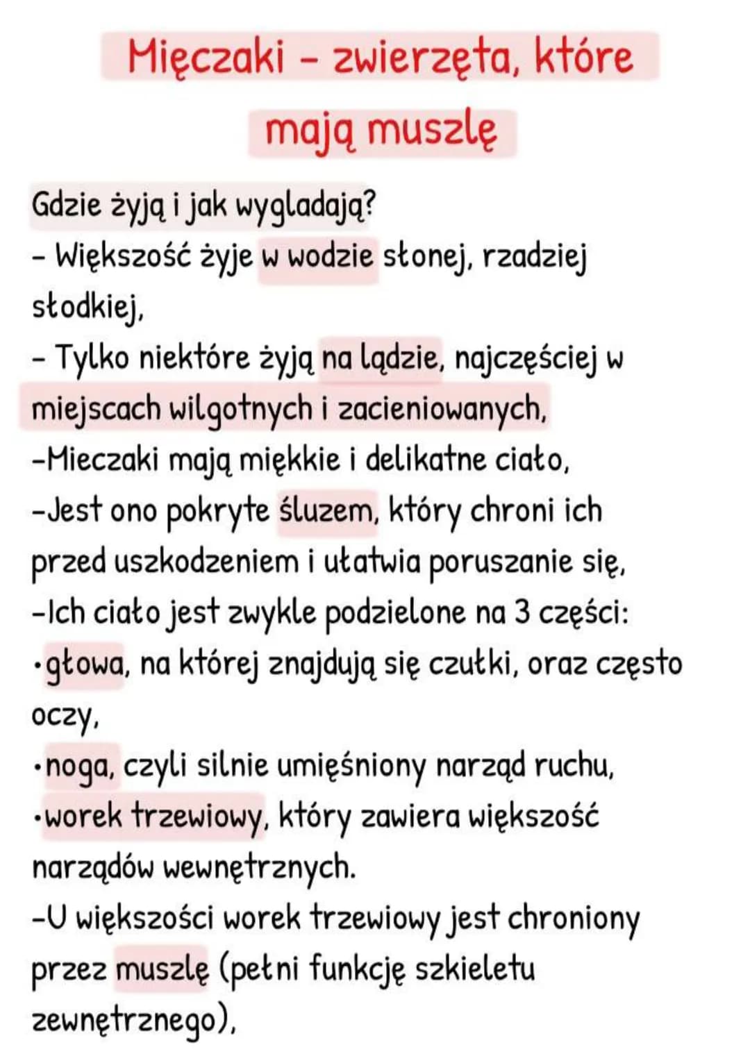 # Mięczaki - zwierzęta, które
mają muszlę
Gdzie żyją i jak wygladają?
- Większość żyje w wodzie słonej, rzadziej
słodkiej,
- Tylko niektóre