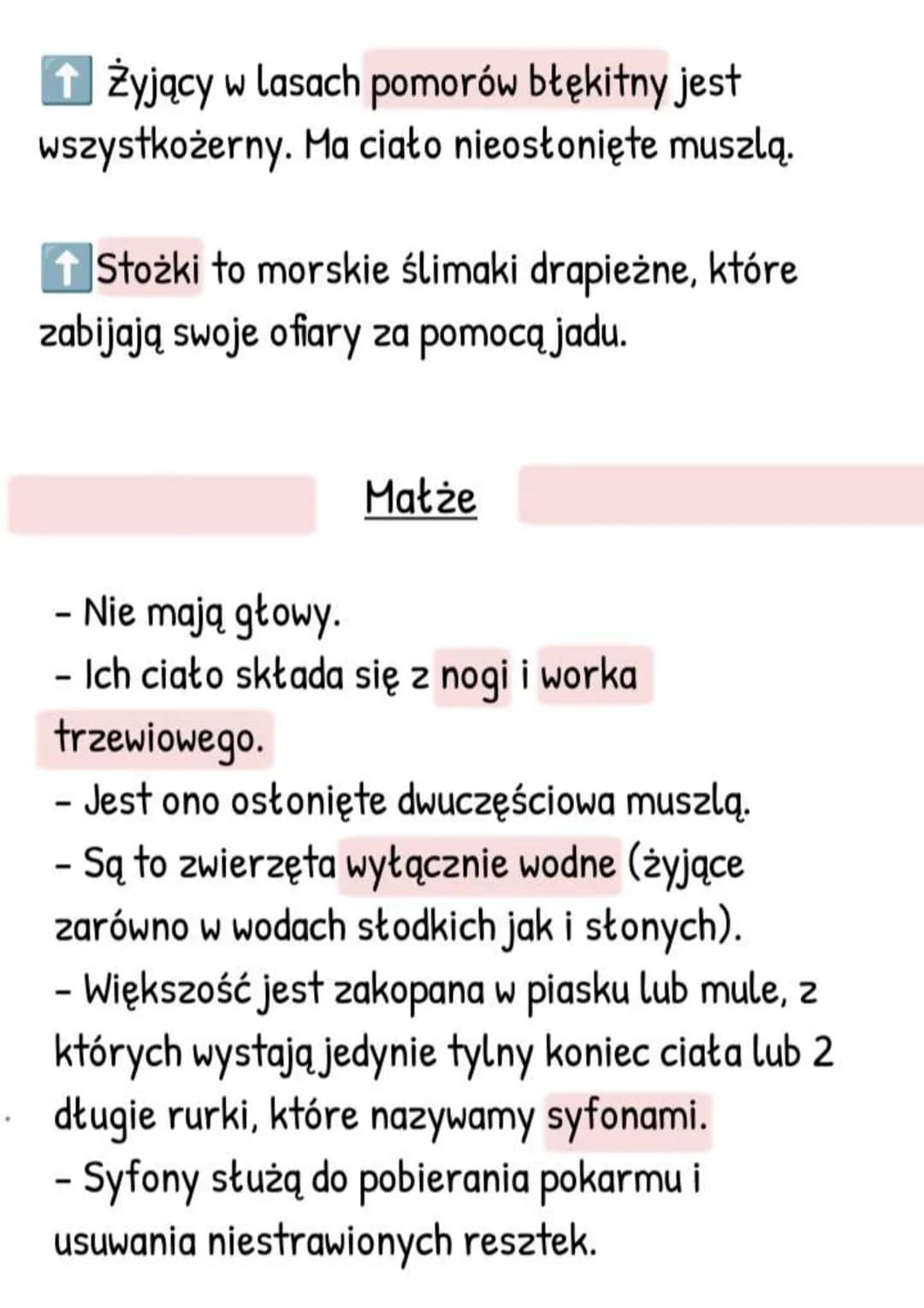 # Mięczaki - zwierzęta, które
mają muszlę
Gdzie żyją i jak wygladają?
- Większość żyje w wodzie słonej, rzadziej
słodkiej,
- Tylko niektóre