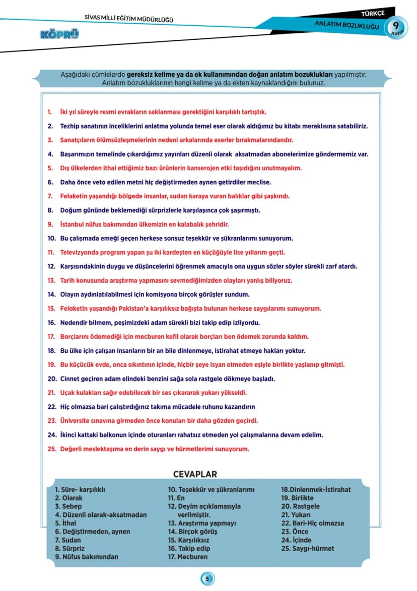 Page 5