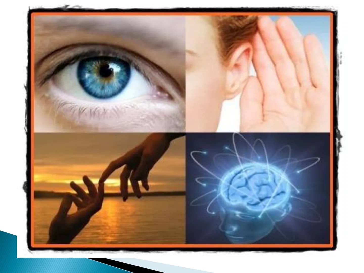 # MEMORIA - I. Definitie
- II. Caracterizare generala
- III. Caracterizare specifica
- IV. Procesele memoriei
- V. Factorii, legile si optim
